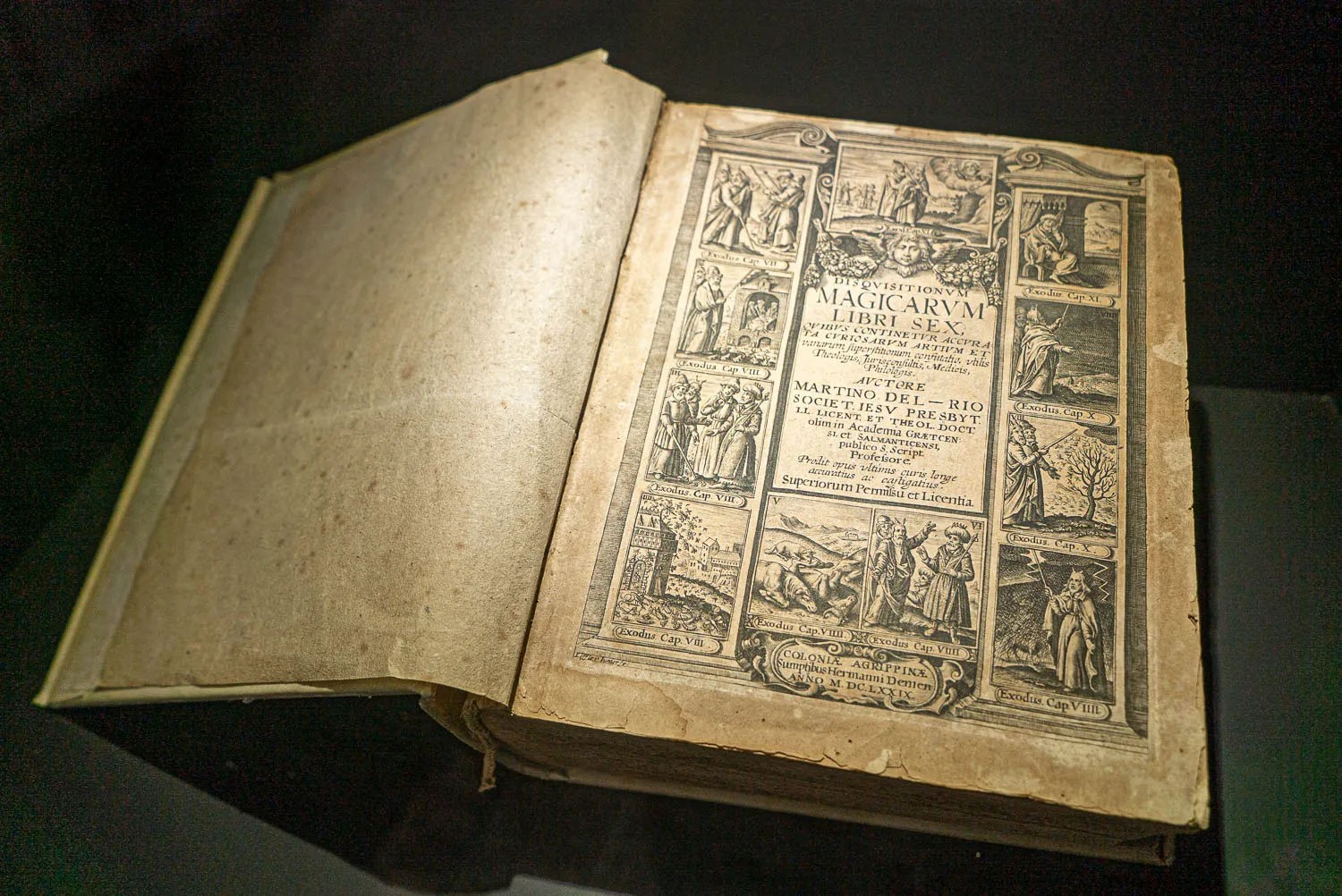 Altes Buch mit Illustrationen und lateinischer Schrift offen gezeigt