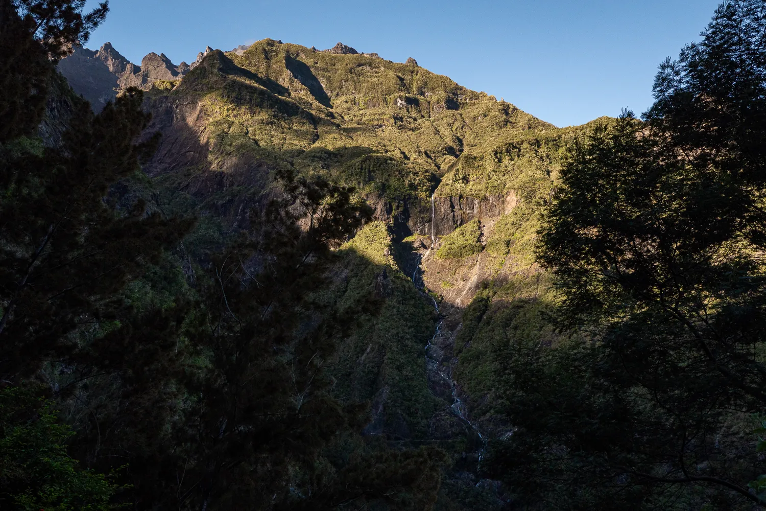 Berglandschaft mit Wald und Bach im Sonnenlicht