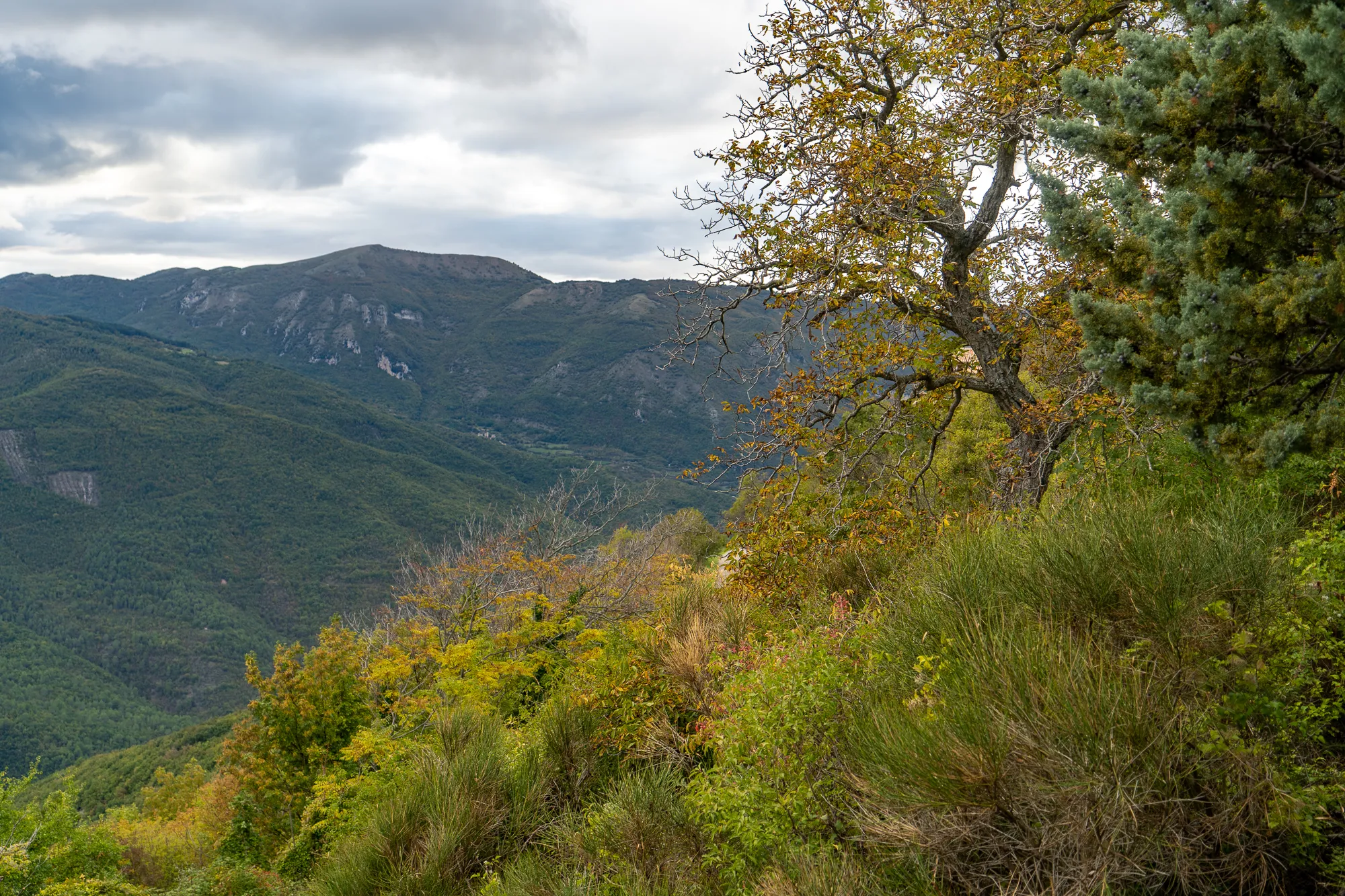 Berglandschaft mit bewaldeten Hängen und bewölktem Himmel