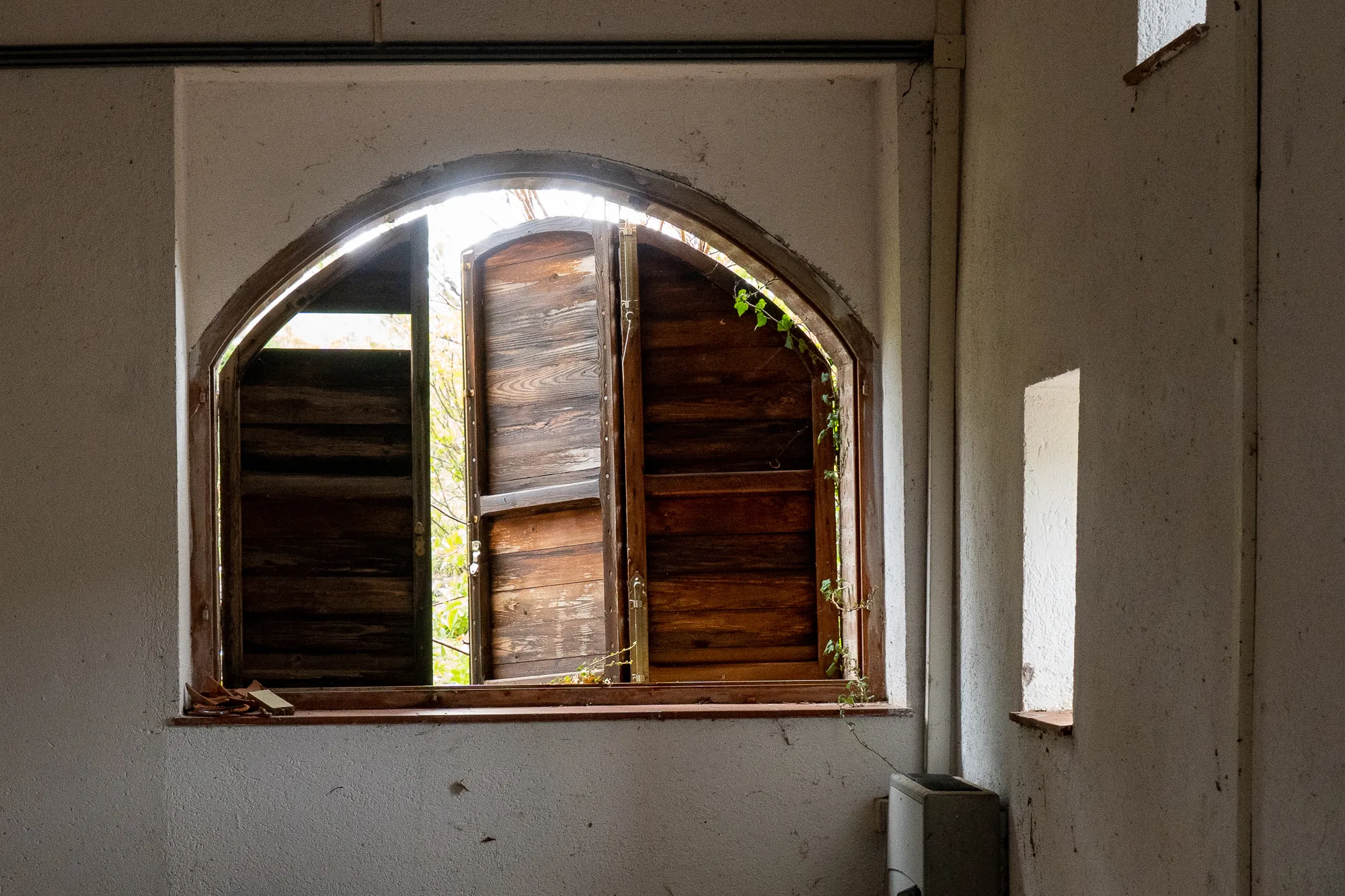 Bogenfenster mit Holzläden, Sonnenlicht und Kletterpflanzen