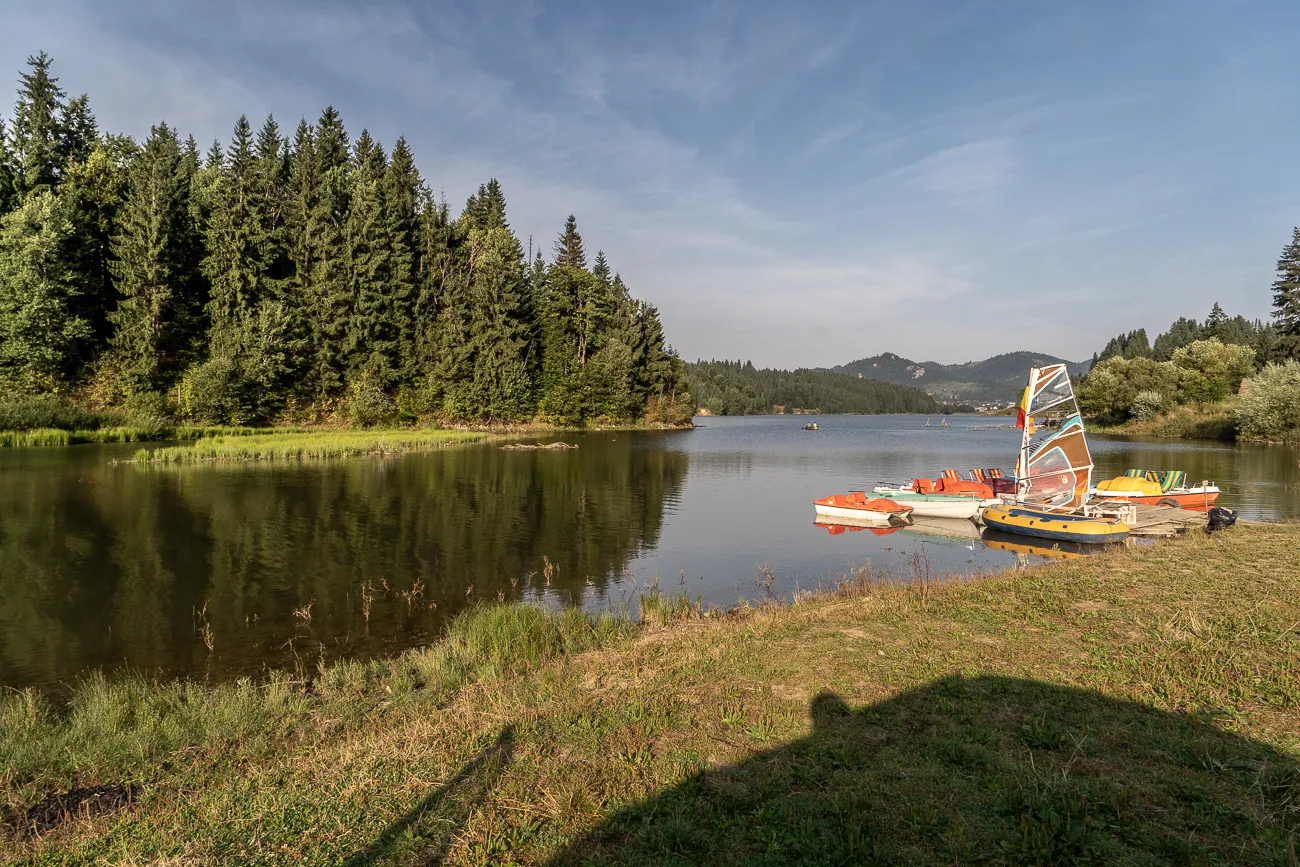 Bootshafen am See mit Segelbooten und Wald im Hintergrund