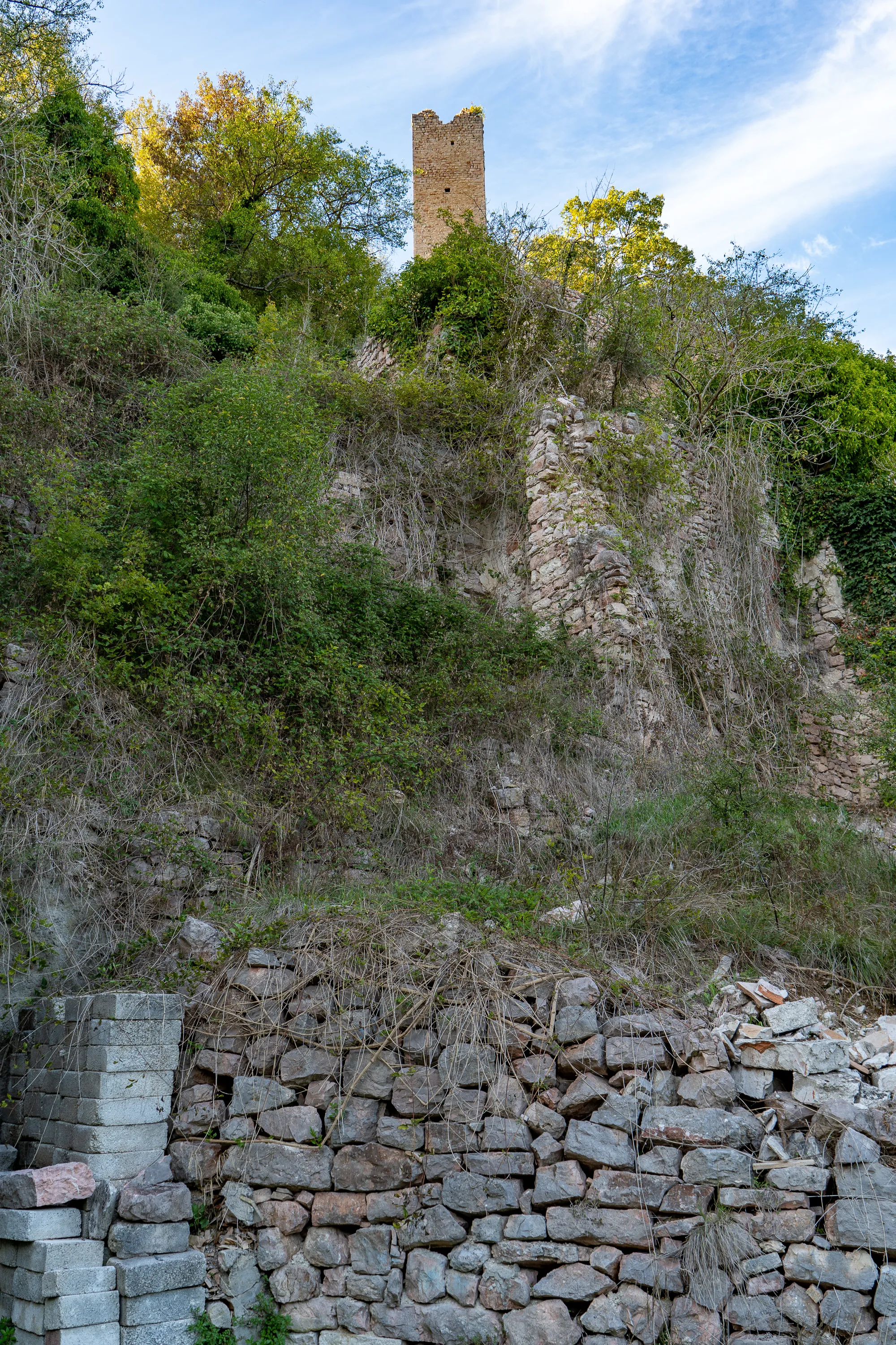 Burgruine auf steiler bergseite mit steinmauer und bewaldetem hange