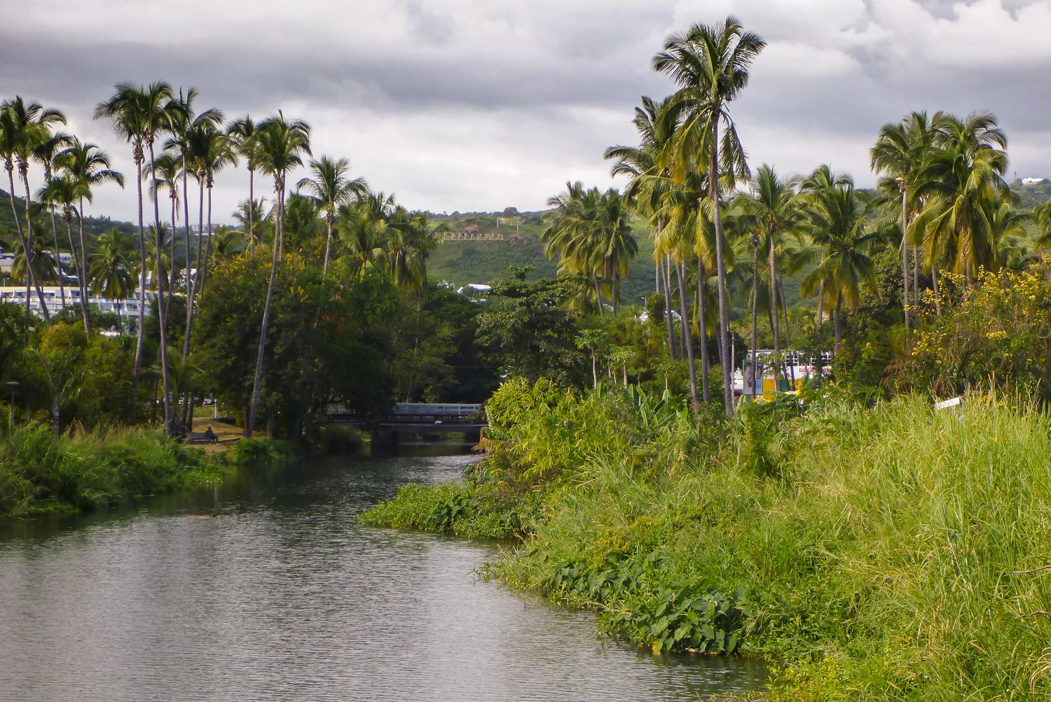 Fluss durch grüne Vegetation mit Palmen und Brücke im Hintergrund