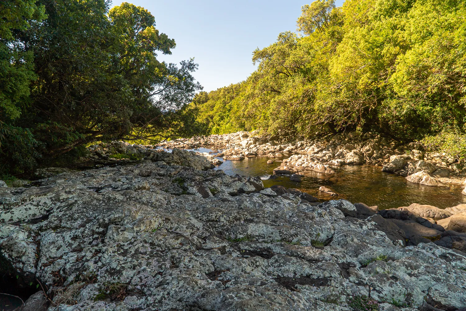 Fluss durch steiniges Ufer mit grüner Vegetation