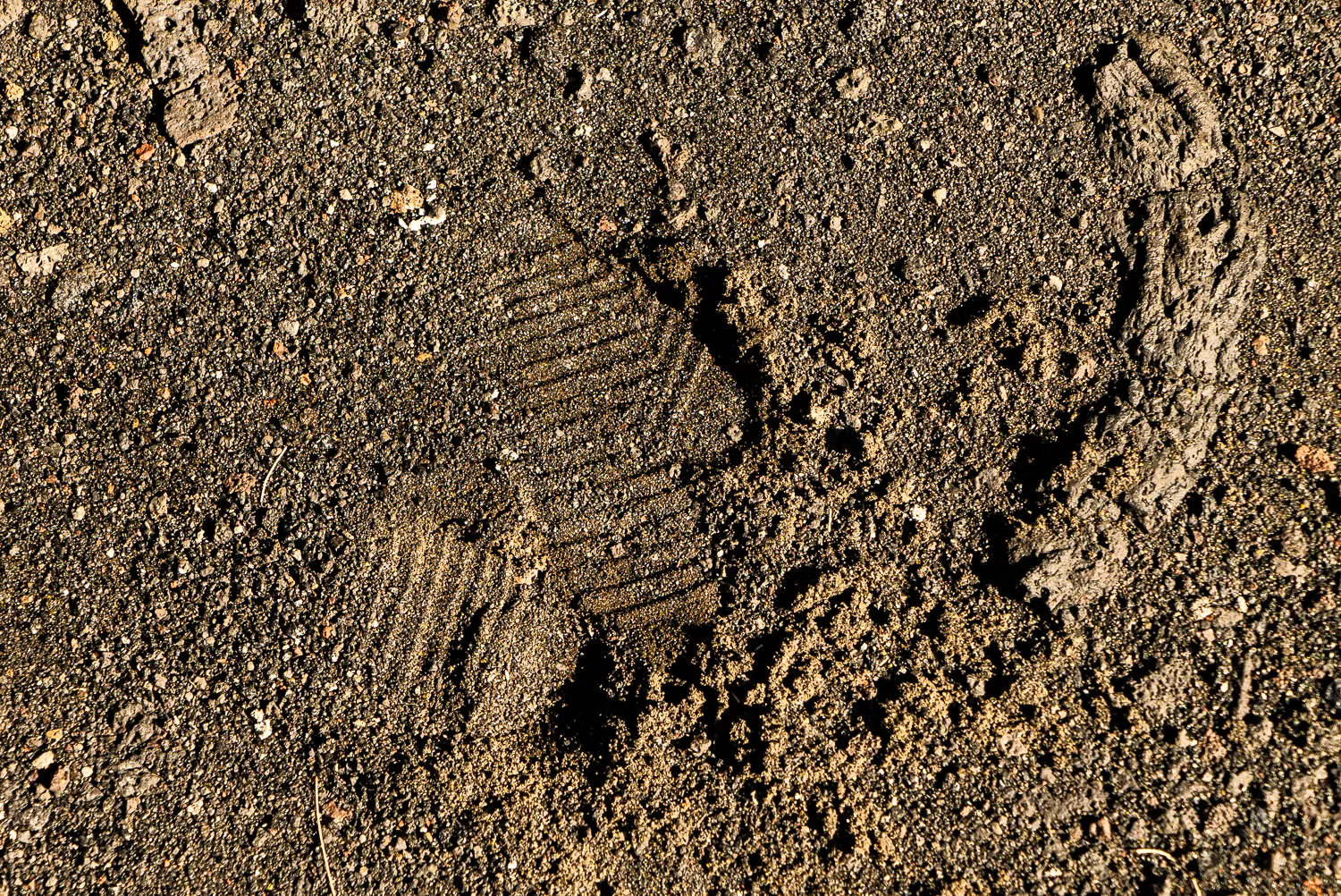 Fußabdruck in dunkler Erde mit sichtbaren Sohlenmuster und unregelmäßigen Rand