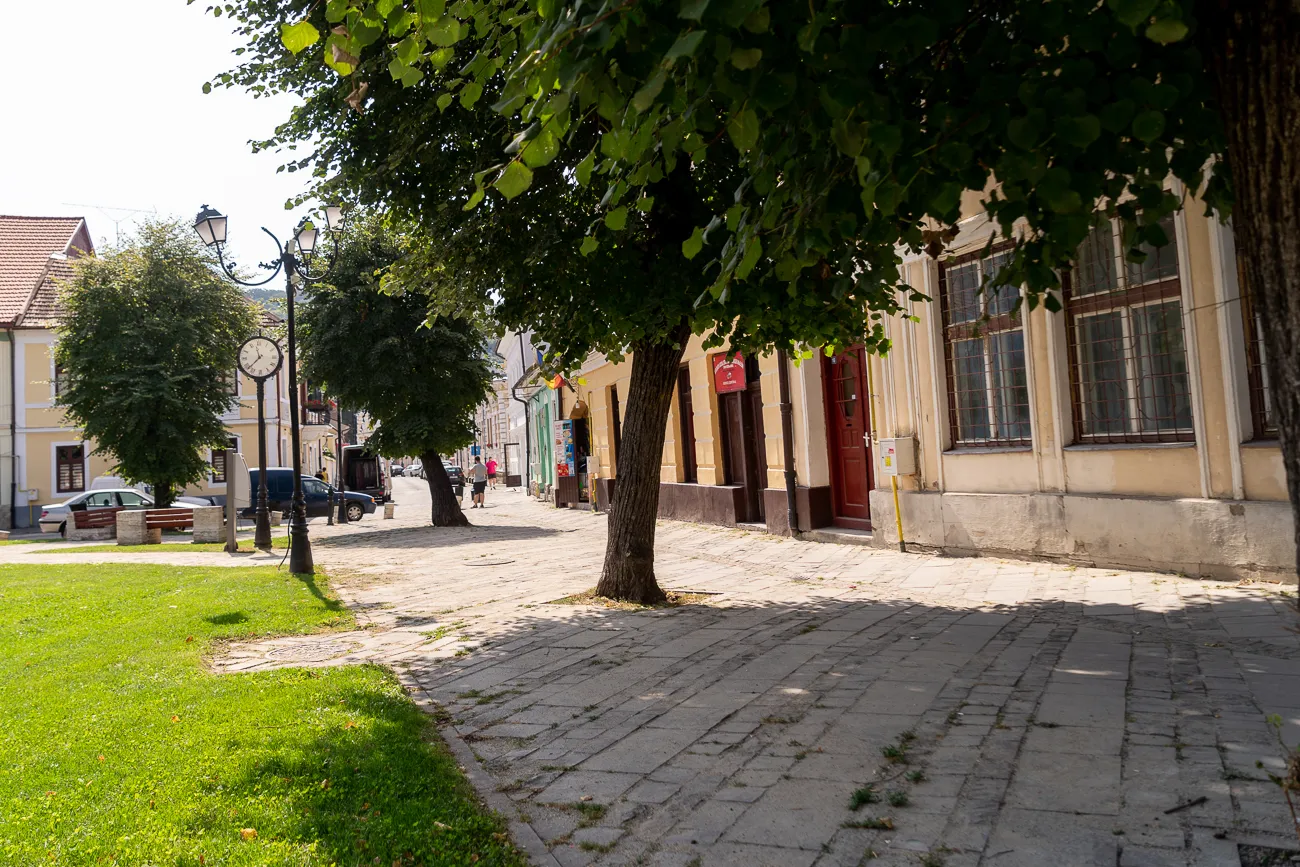 Gehweg mit Bäumen und Häusern in einer Stadt