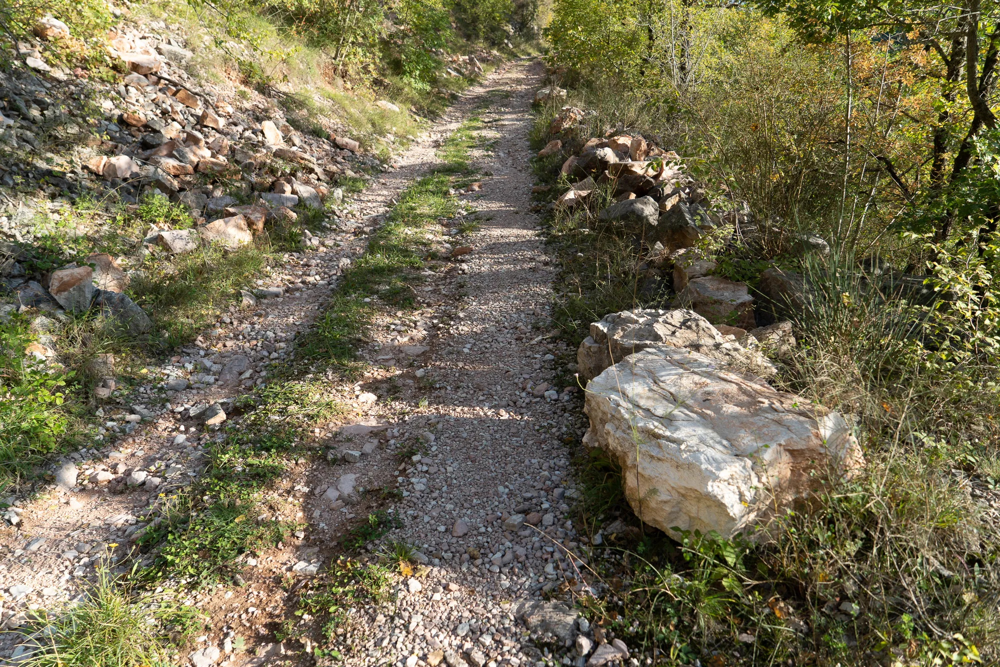 Gehweg durch Steinwand und Gras mit Bäumen im Hintergrund