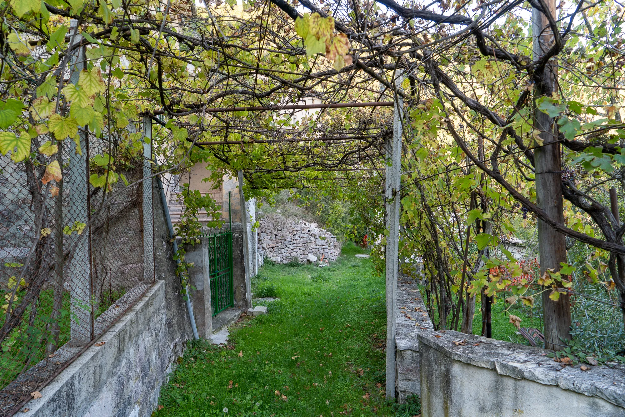 Gewächshaus mit Reben, grüner Weg, Steinmauer, Gitterzaun, Steinhaufen