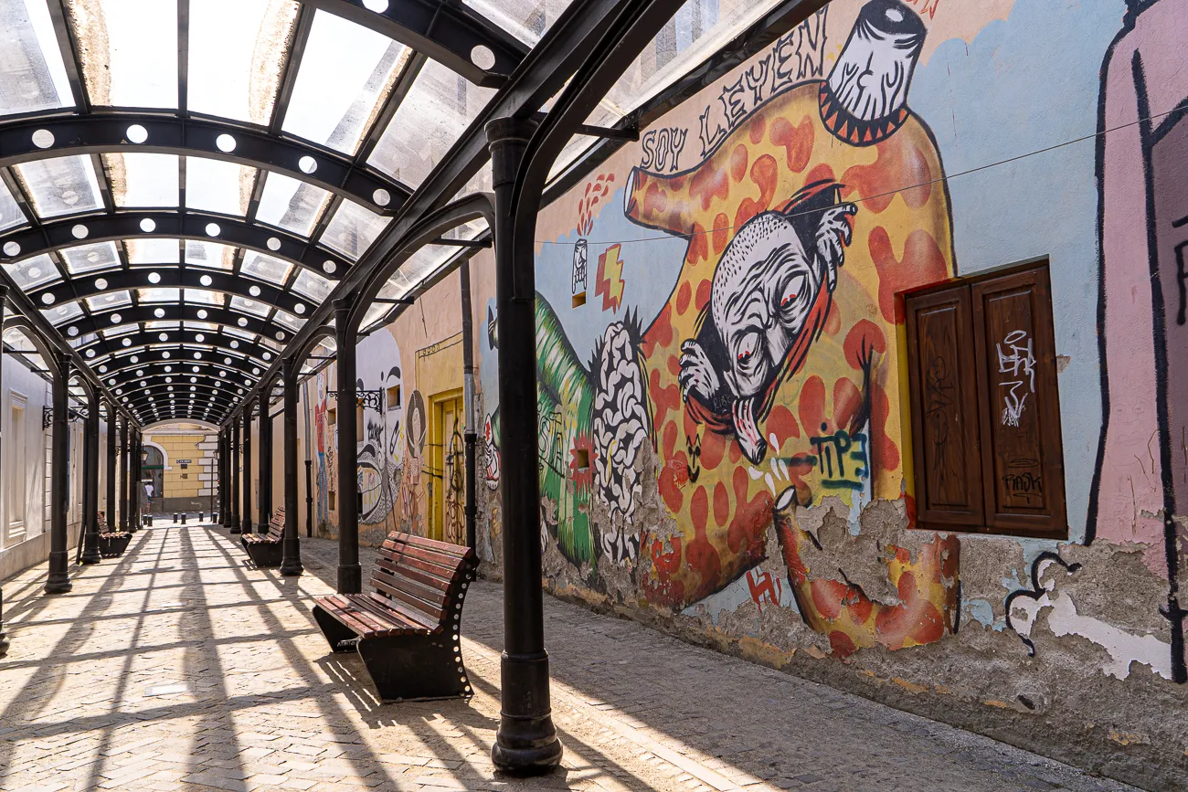Graffiti an einer Wand unter einem Glasdachgang mit Bänken