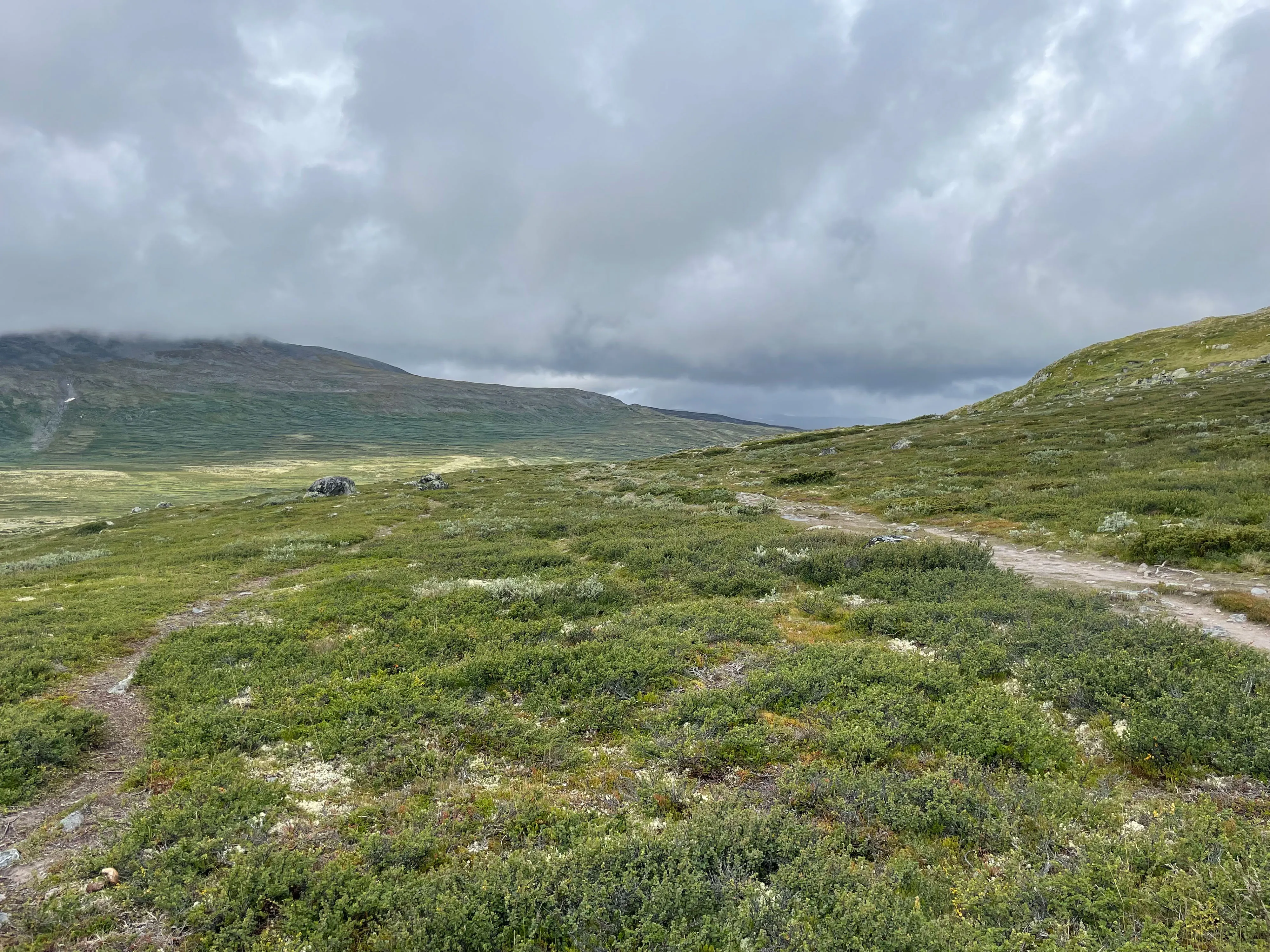 Wanderweg durch grüne Tundra unter bewölktem Himmel