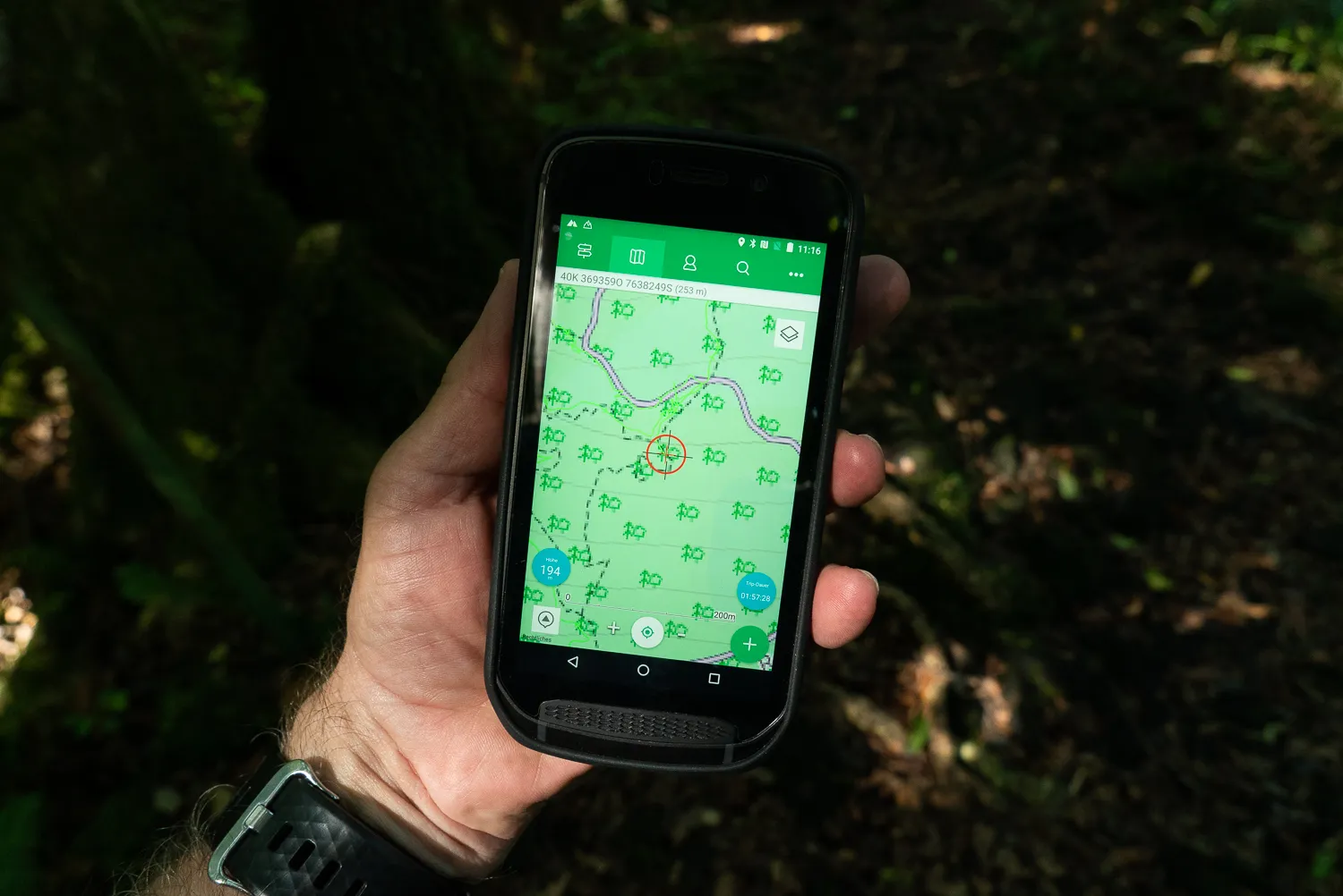 Hand hält Smartphone mit Karte im Wald