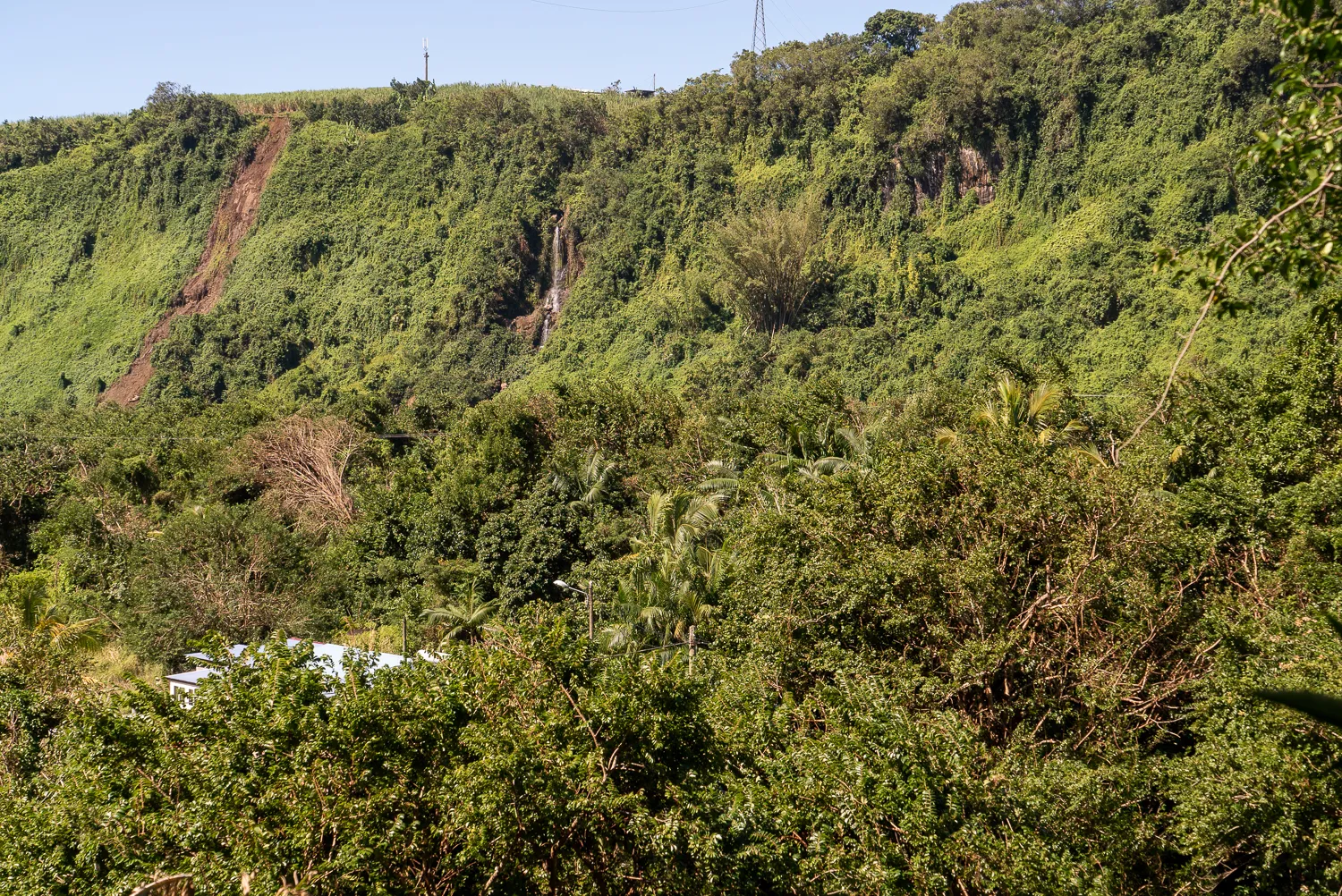 Dichter grüner Wald auf einem Hang mit Wasserfall im Hintergrund