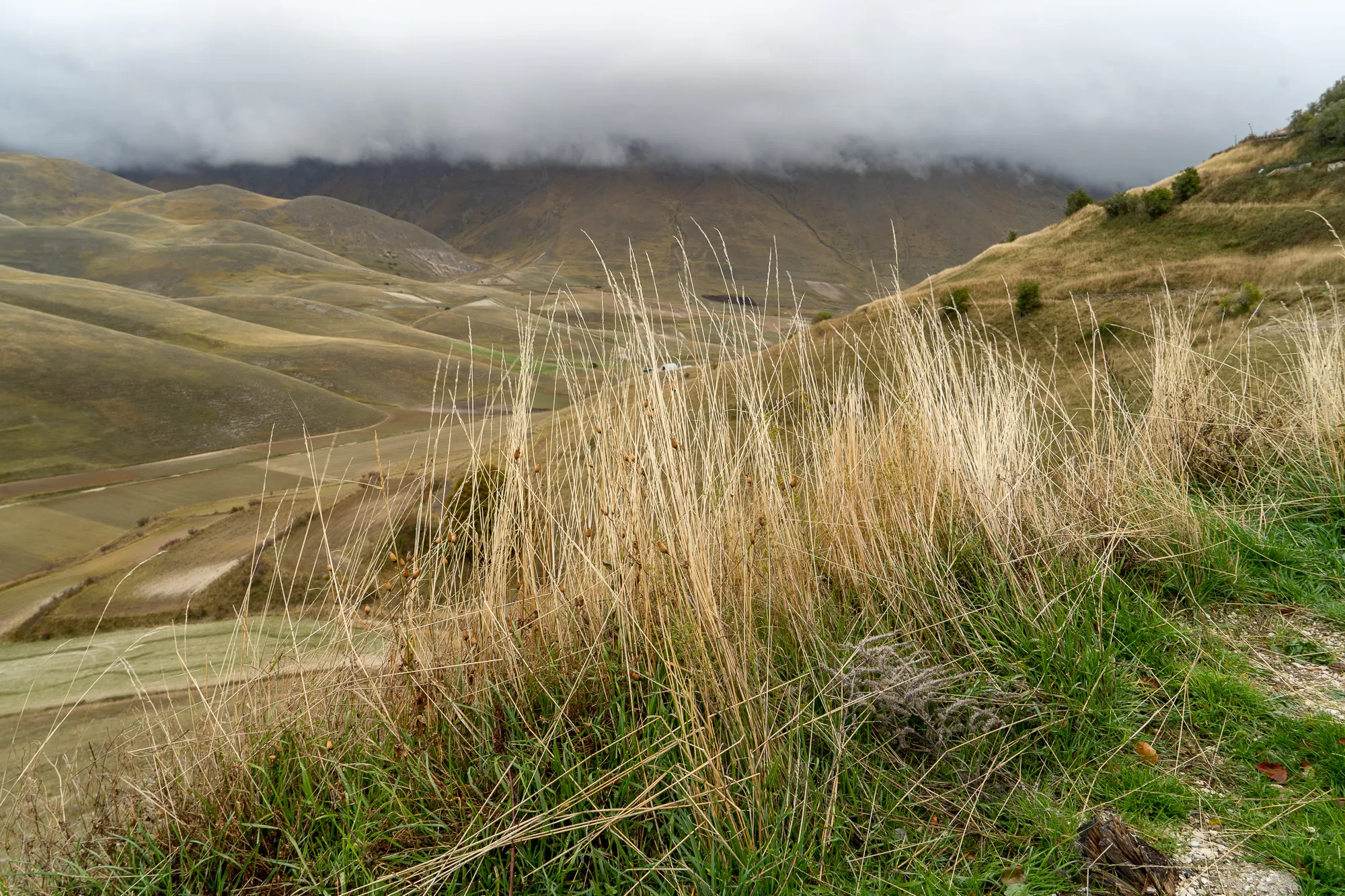 Hochlandlandschaft mit trockenem Gras und bewölktem Himmel