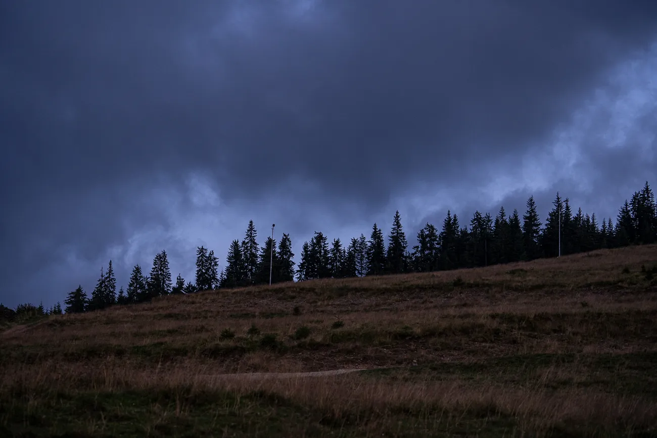 Dunkler bewölkter Himmel über einer grasbewachsenen Hügellandschaft mit Nadelbäumen