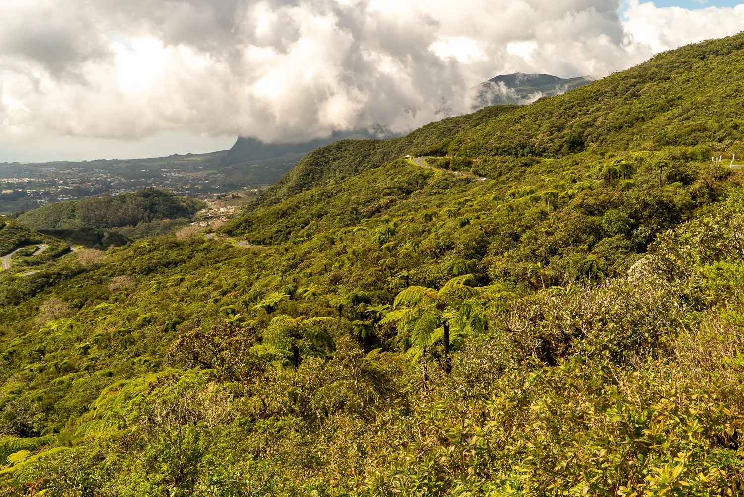 Grüne Hügellandschaft mit Wegen und Wolken am Horizont