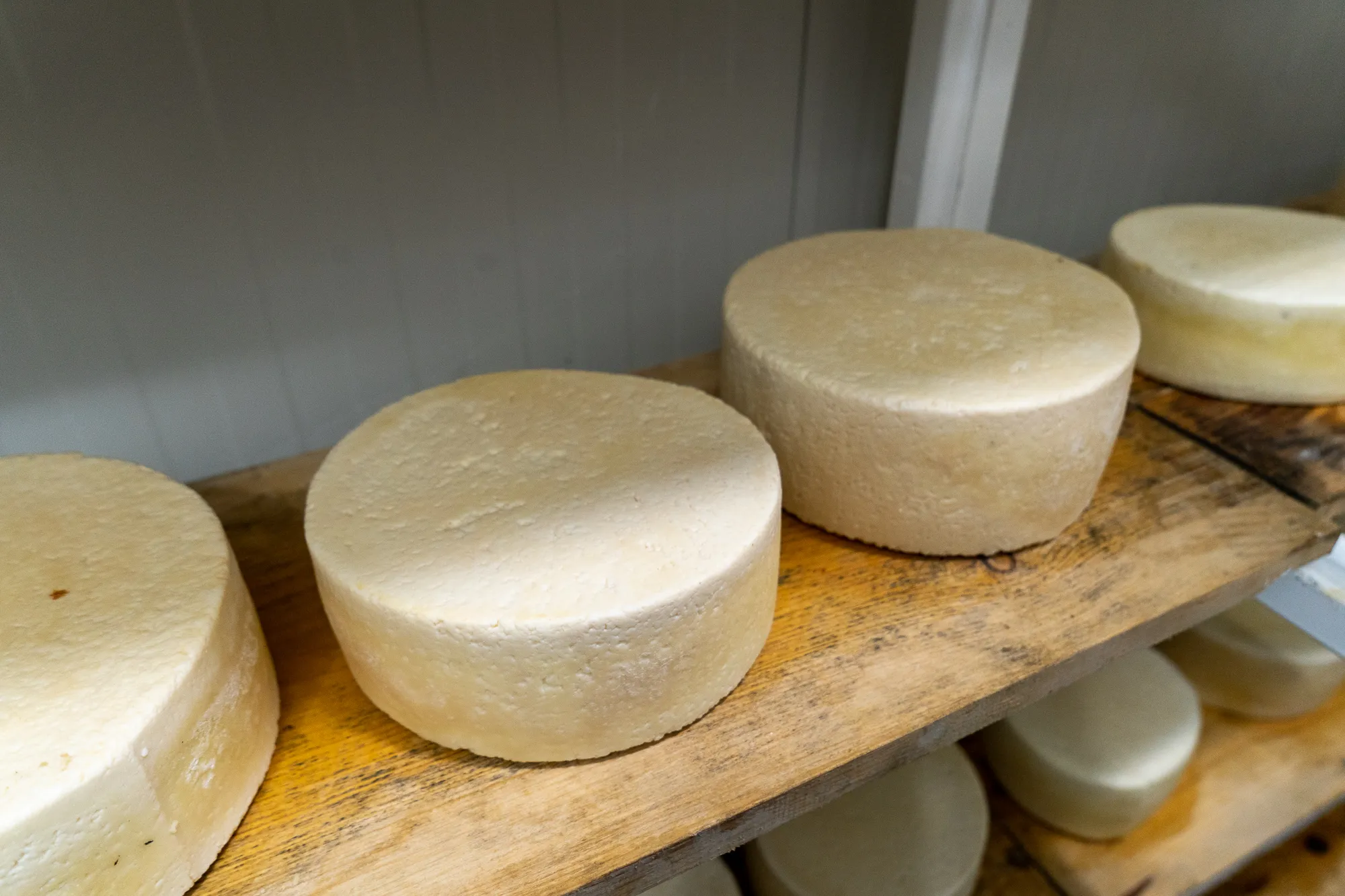Runde Käse auf Holzregal, hellbeige Rinde, warmes Licht