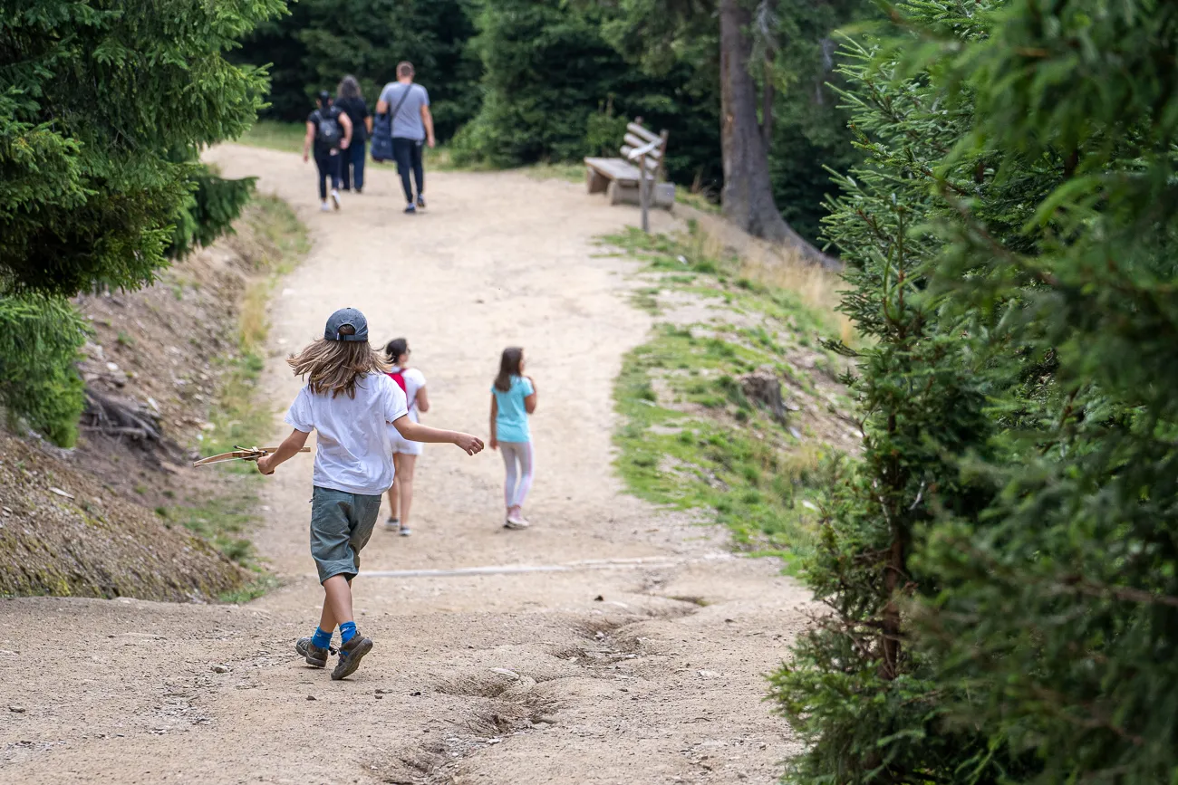 Kinder laufen auf einem Waldweg zwischen Bäumen