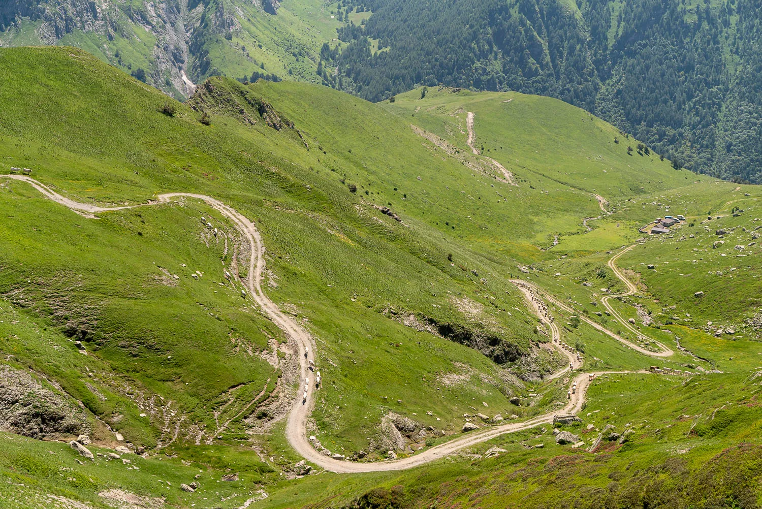 Winding dirt road through green mountain valley with small buildings