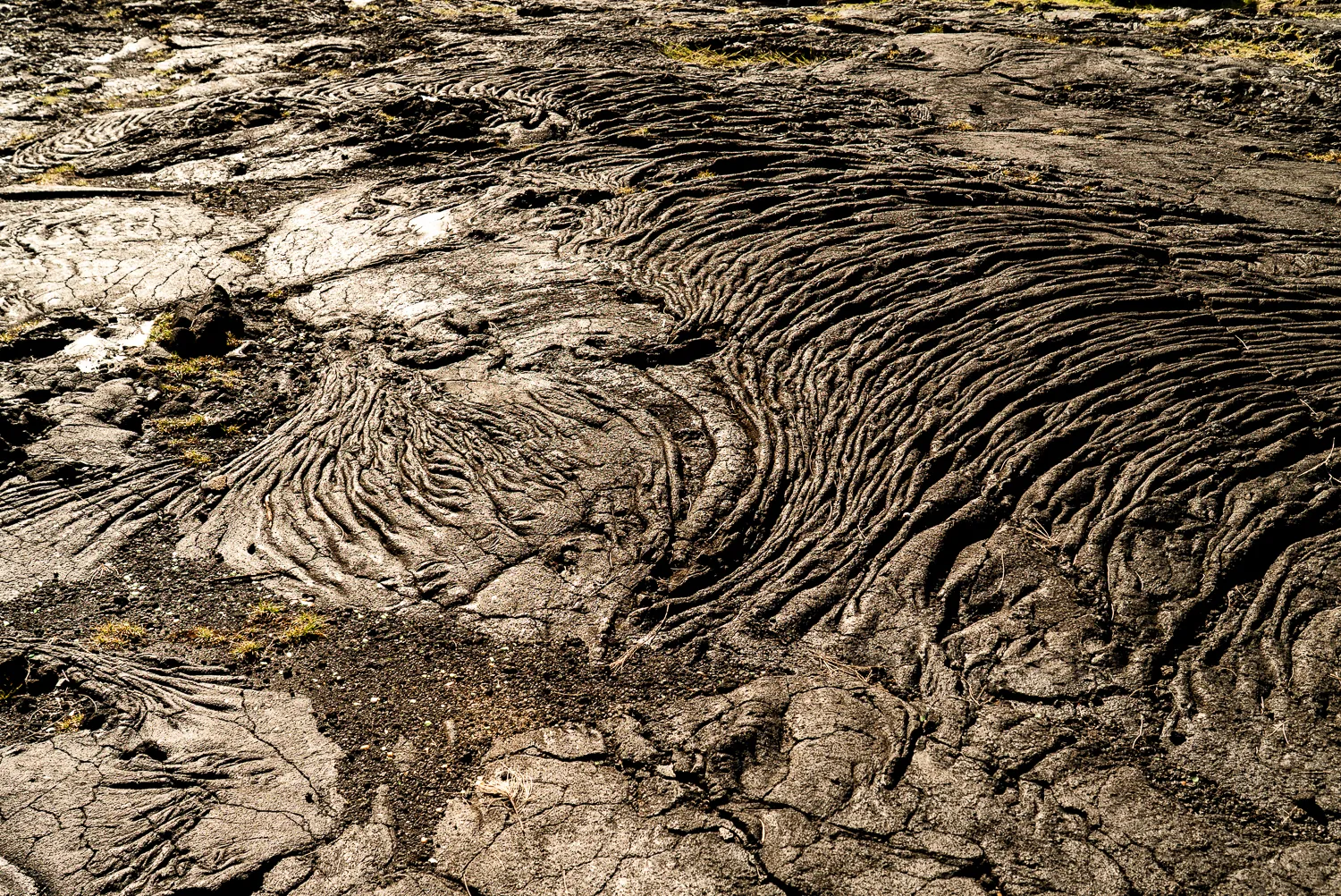 Gewellte Lavafelder mit Rissen und spärlicher Vegetation