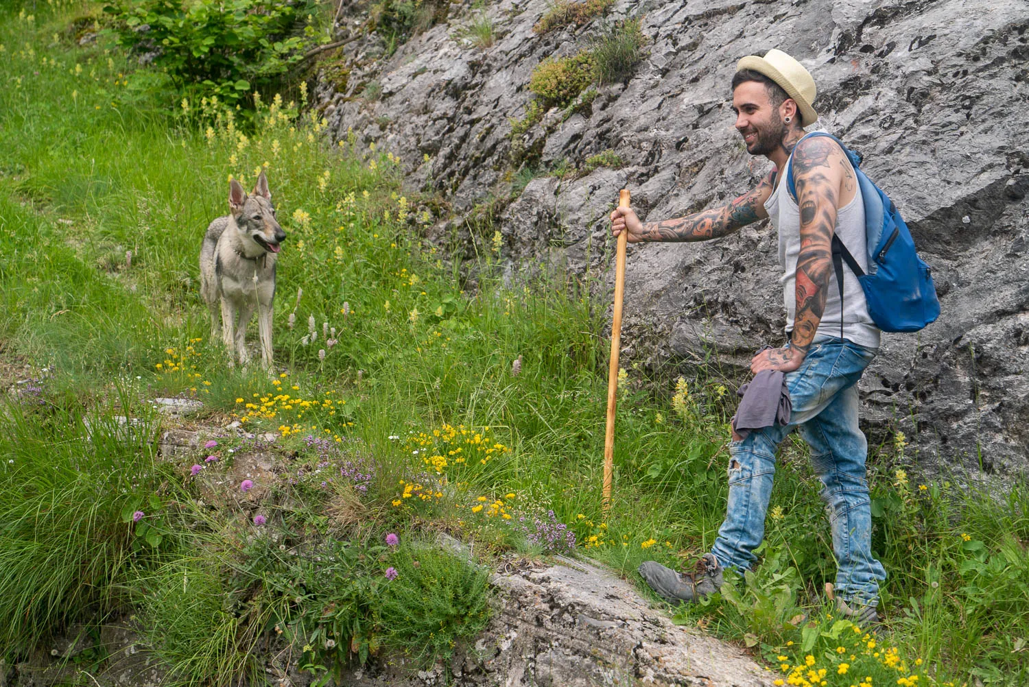 Mann mit Stock und Hund auf grüner Wiese neben Felsen