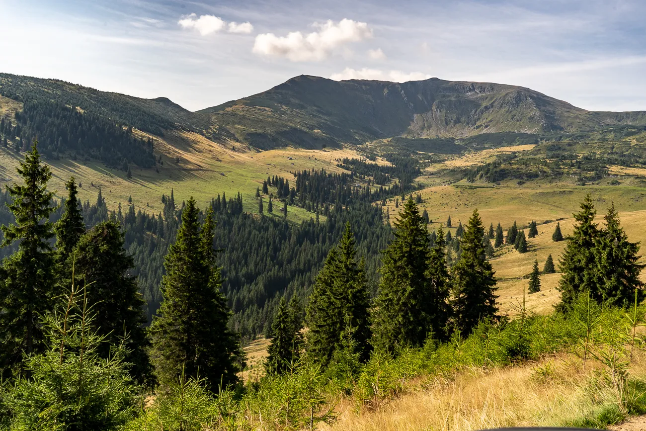 Berglandschaft mit Nadelbäumen und grünen Hängen unter blauem Himmel