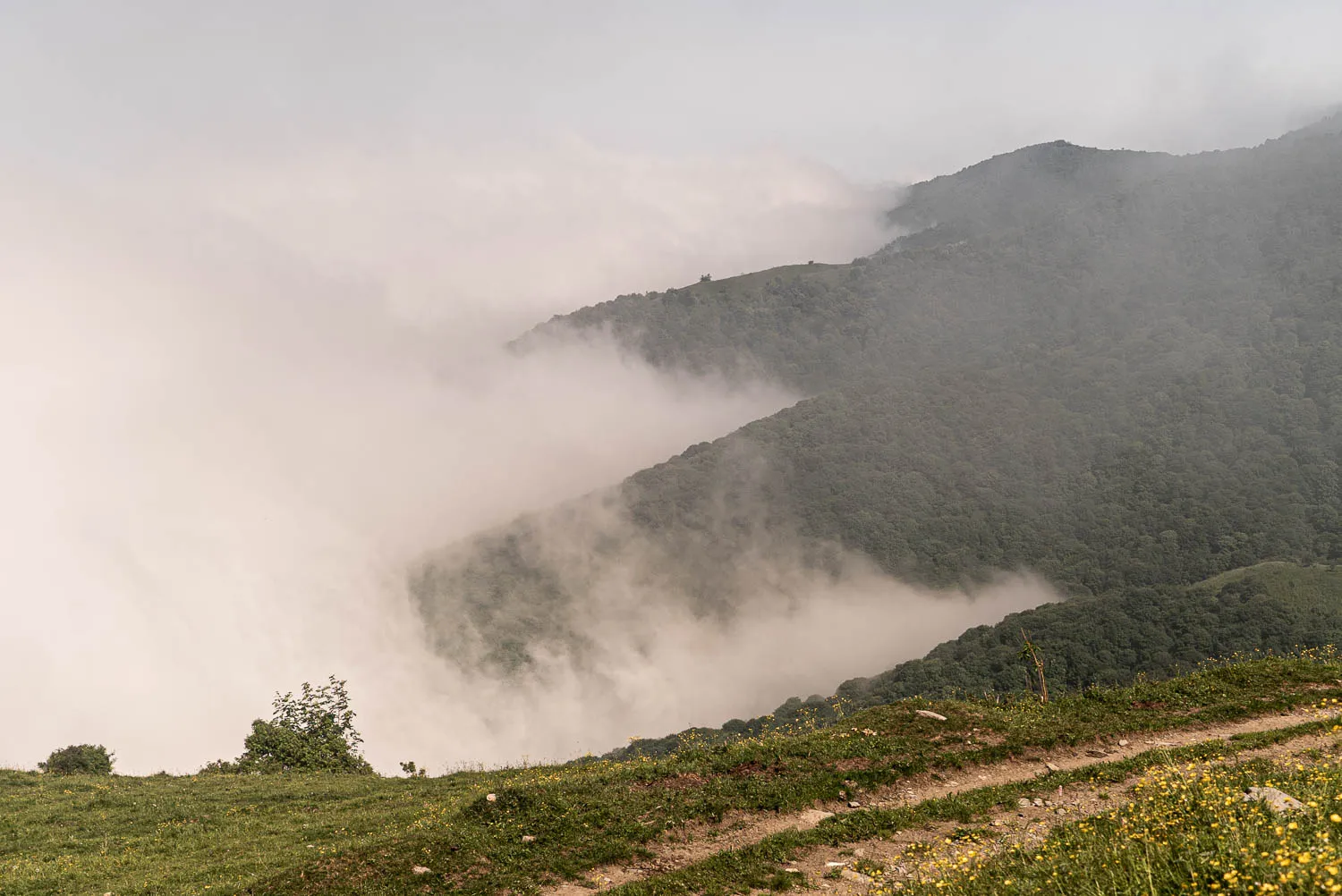 Berglandschaft mit Nebel zwischen den Hängen und grüner Wiese im Vordergrund