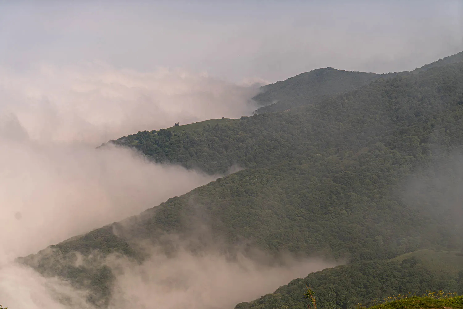 Berge im Nebel, bewaldete Hügel, dichte Wolken