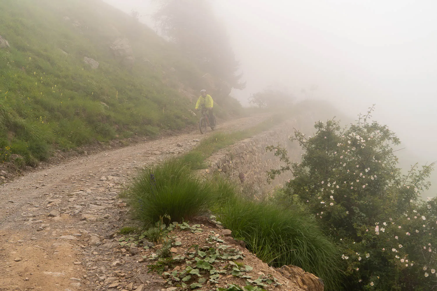 Radfahrer auf steinigem Pfad im Nebel, grüne Hänge und Rosenbusch rechts