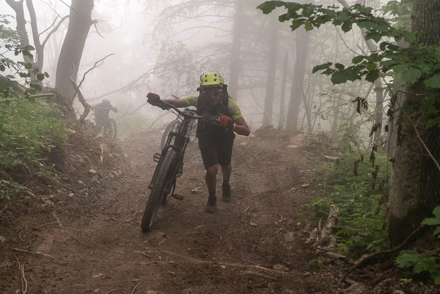 Radfahrer im nebligen Waldweg mit Fahrrad