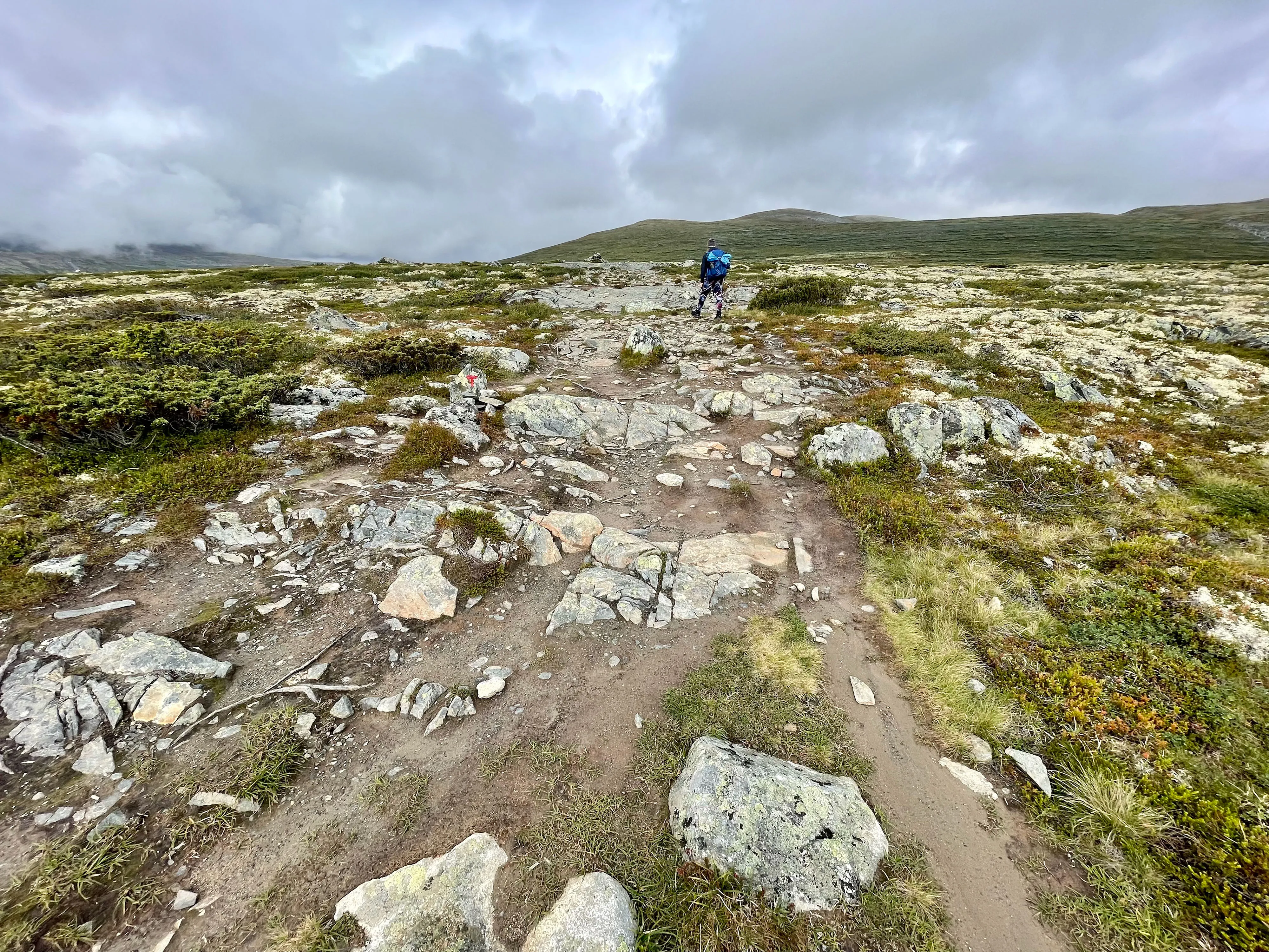 Wanderweg durch felsiges, grasbewachsenes Tal unter bewölktem Himmel