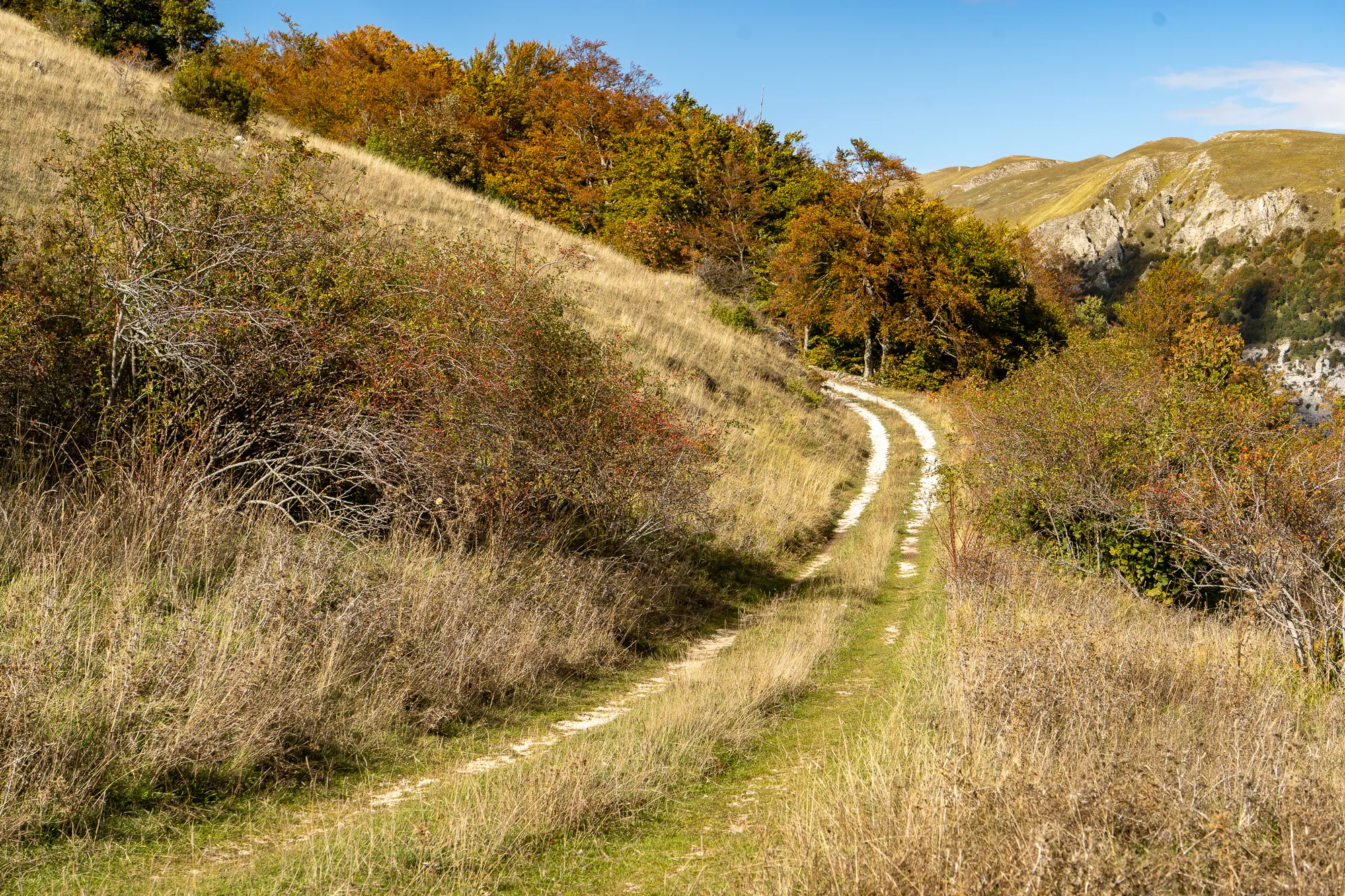 Weg durch Hügel mit Herbstlaub und klarem Himmel