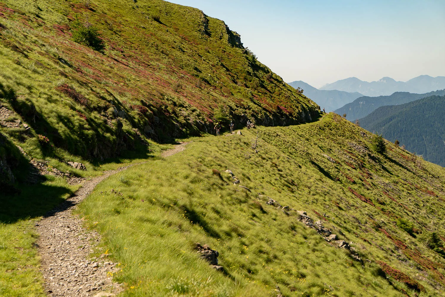 grüner bergpfad mit steinweg und fernen gipfeln unter blauem himmel