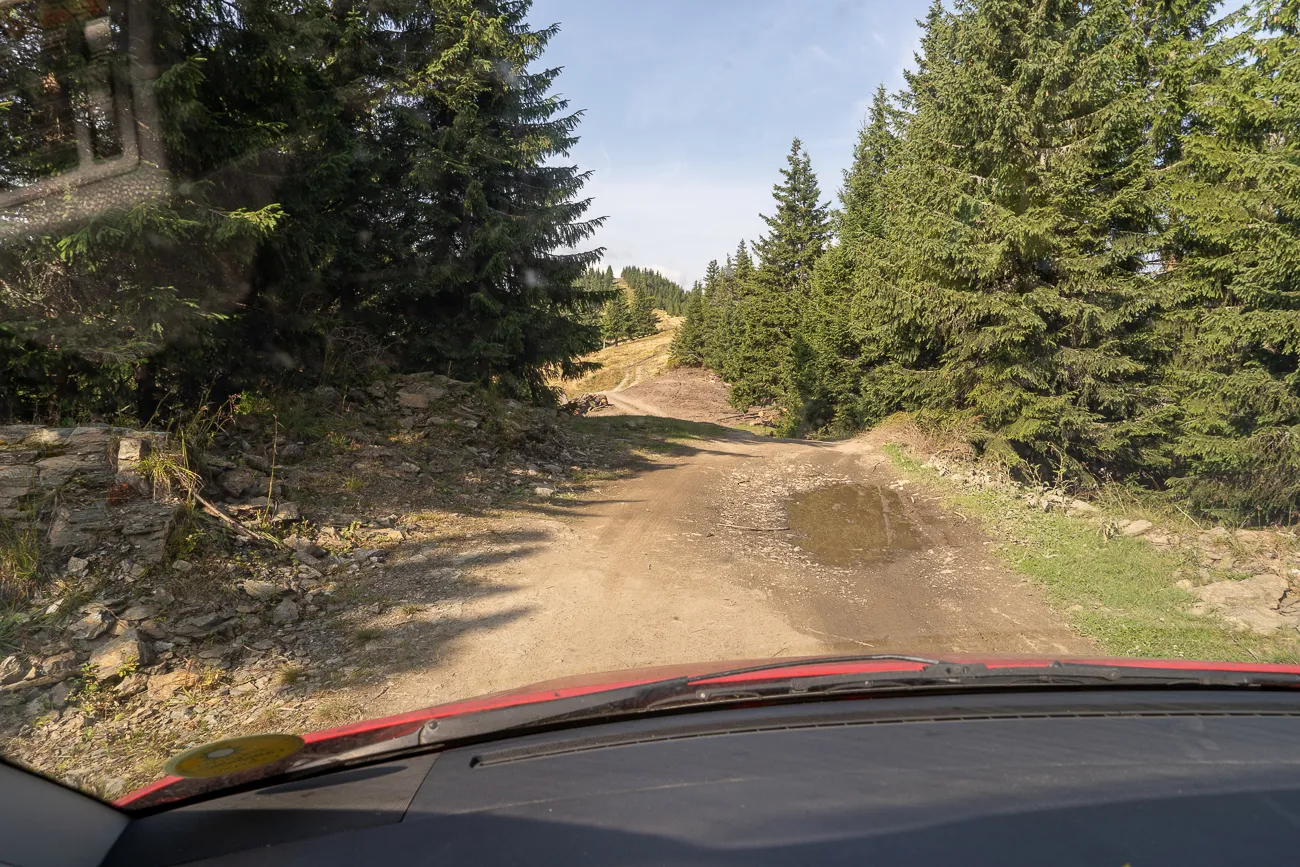 Dreckiger Waldweg mit Pfütze und Steinen, gesehen von einem Auto