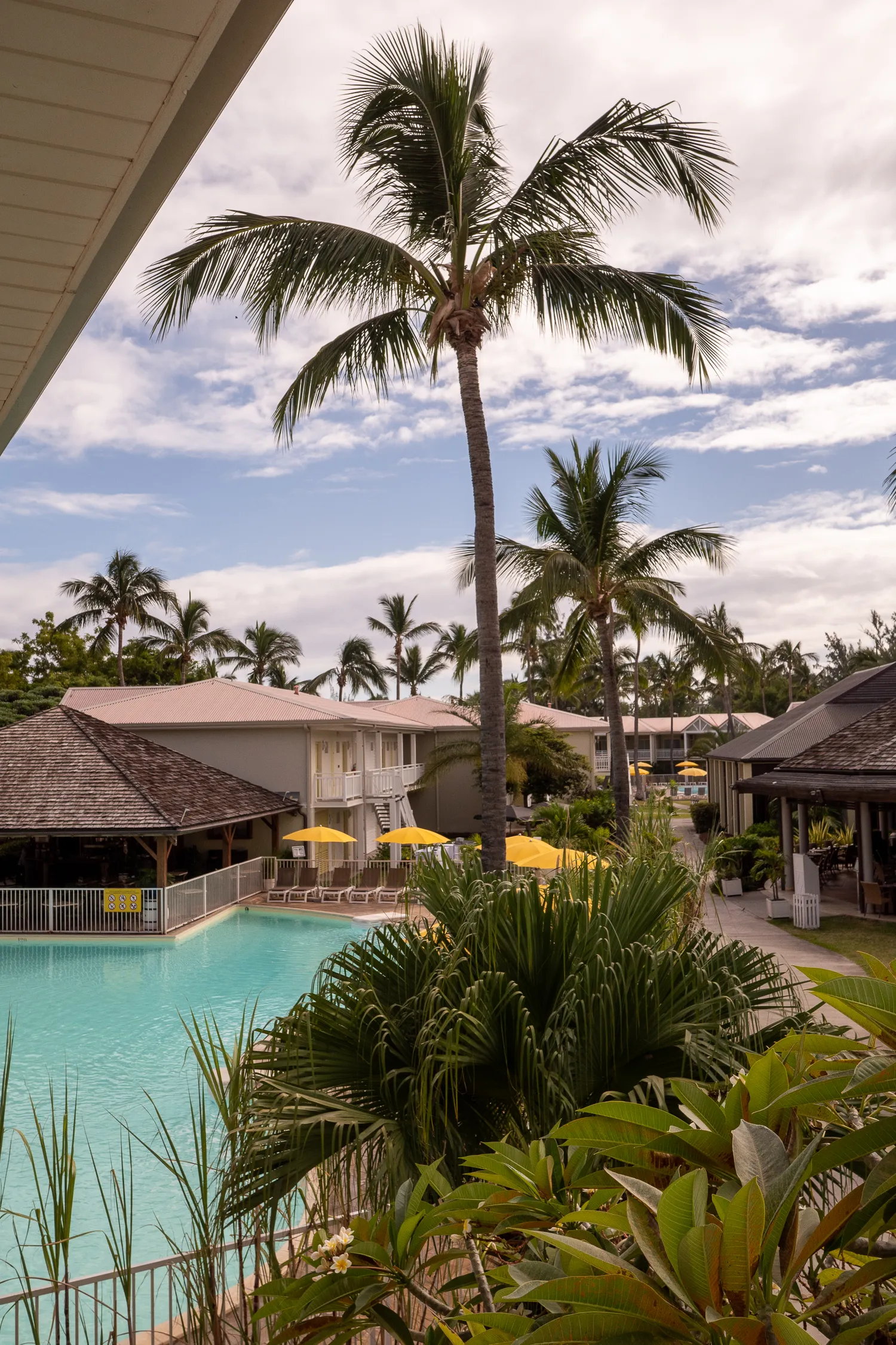 Palm trees and tropical plants surround a swimming pool with yellow umbrellas.