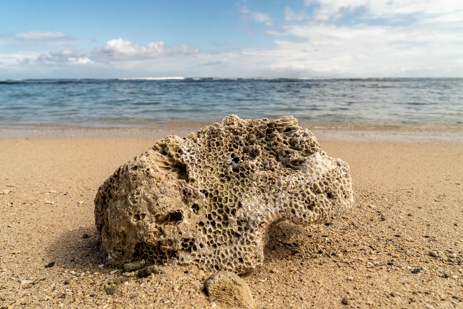 Gestein mit poröser Struktur am Strand