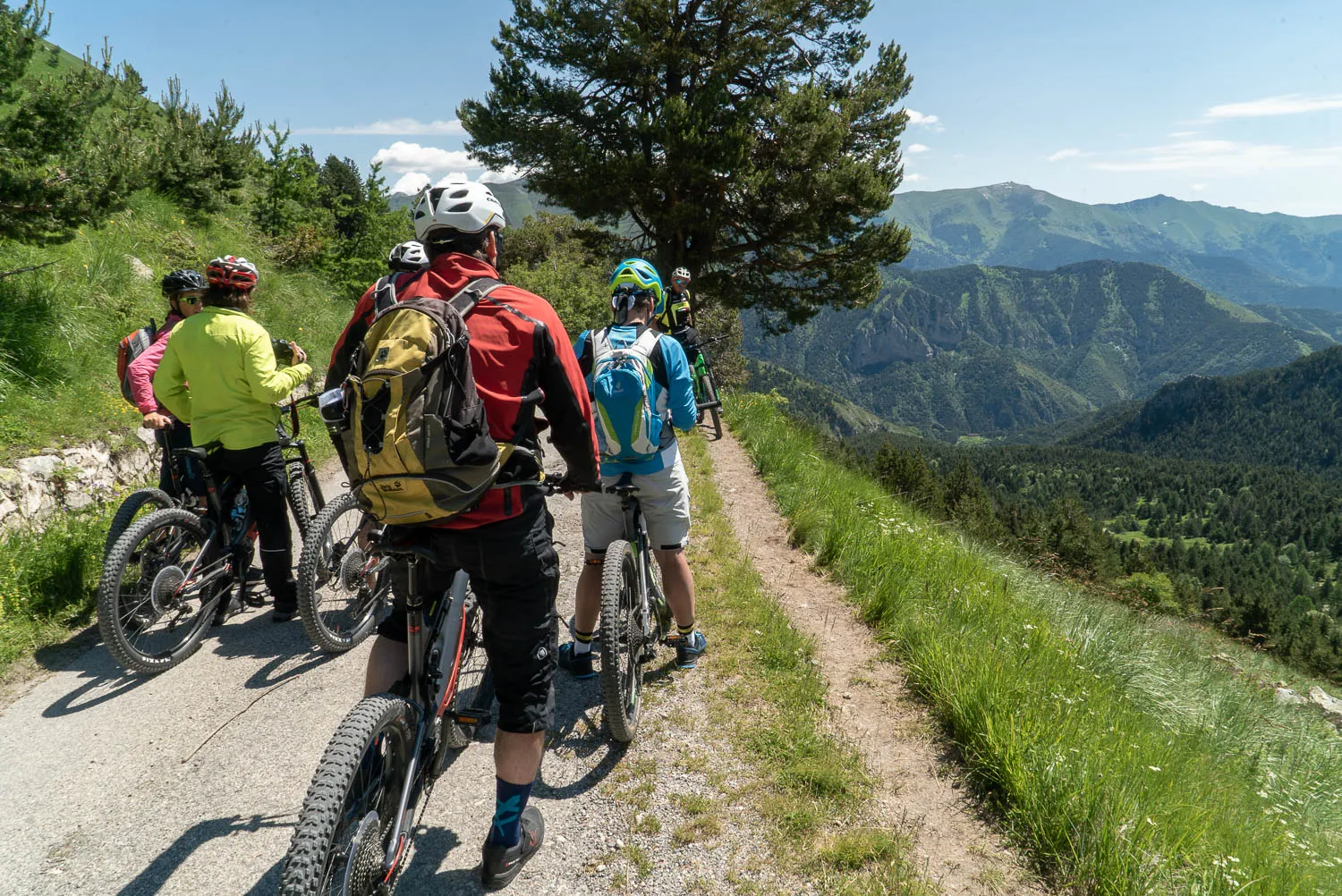 Fahrradfahrer auf schmaler Bergstraße mit Blick auf grüne Berge und Wälder