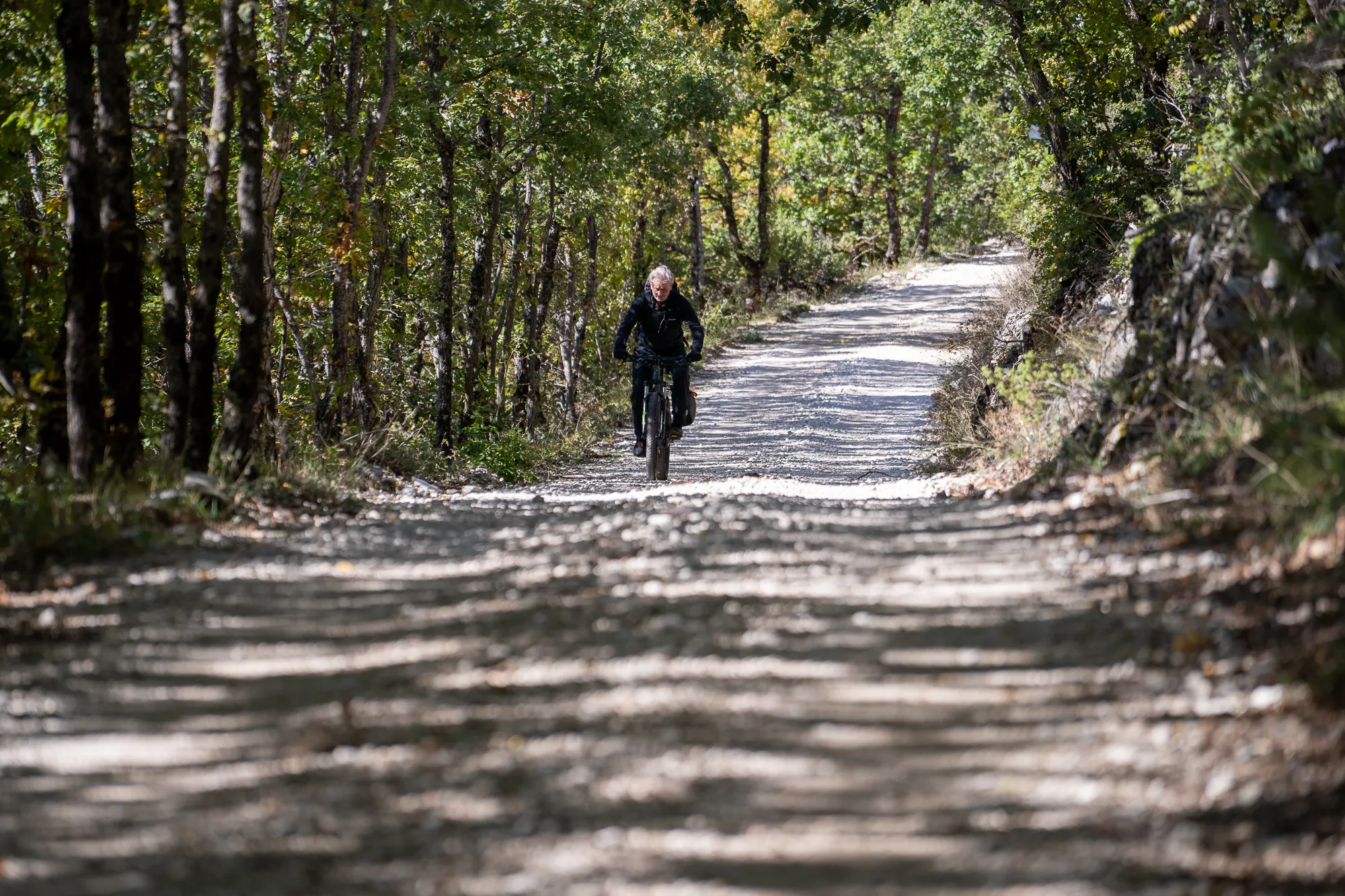 Radfahrer fährt auf schattigem Waldweg durch dichten Laubwald