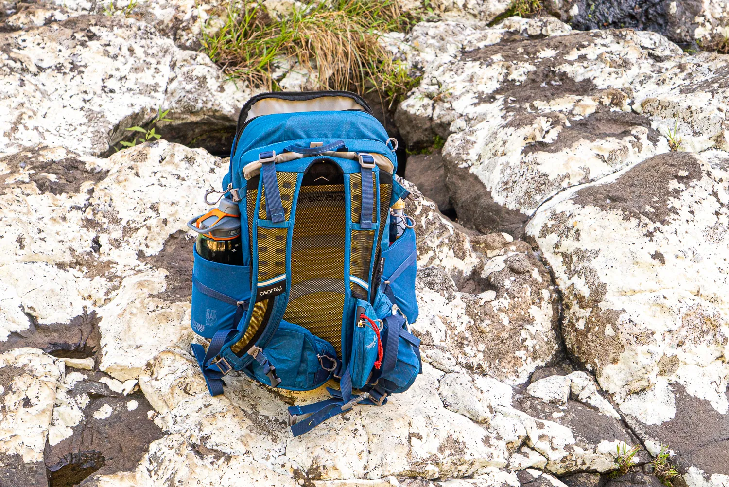 blauer rucksack auf felsigen steinwänden mit grünem gras