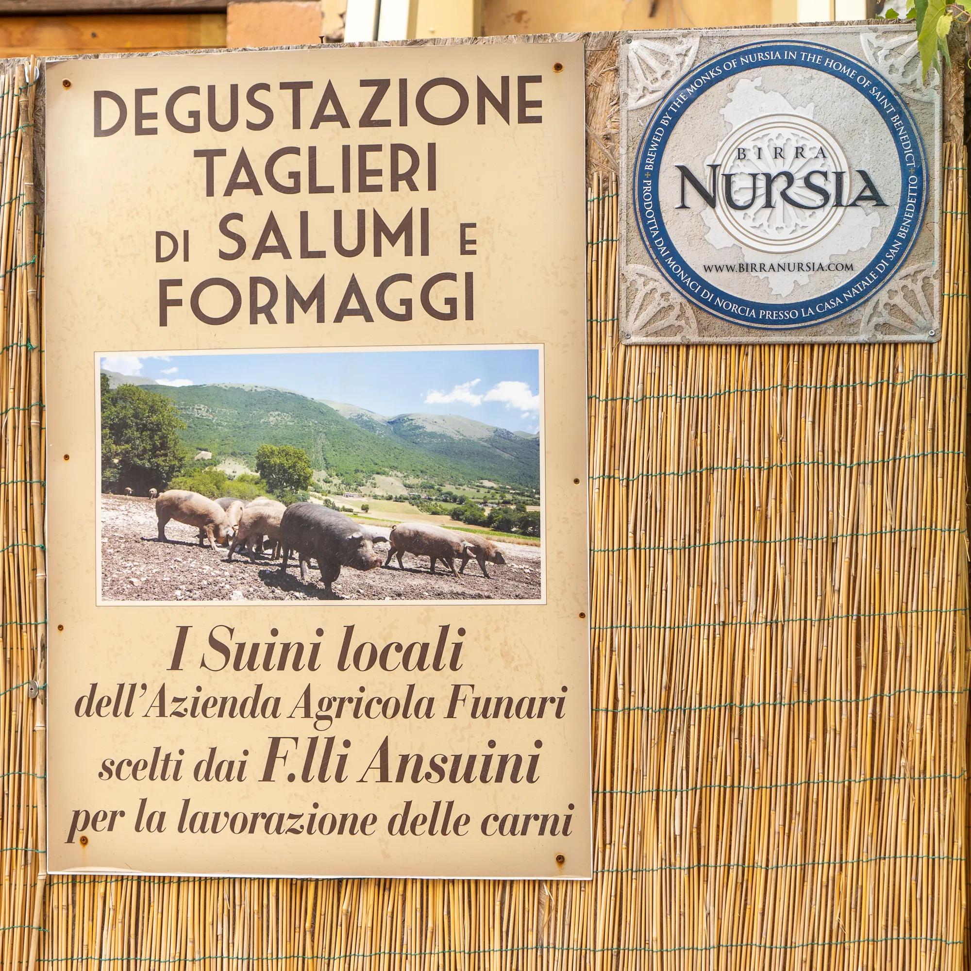Schild mit Bild von Schweinen und Text über lokale Wurst und Käseprobe in Norcia