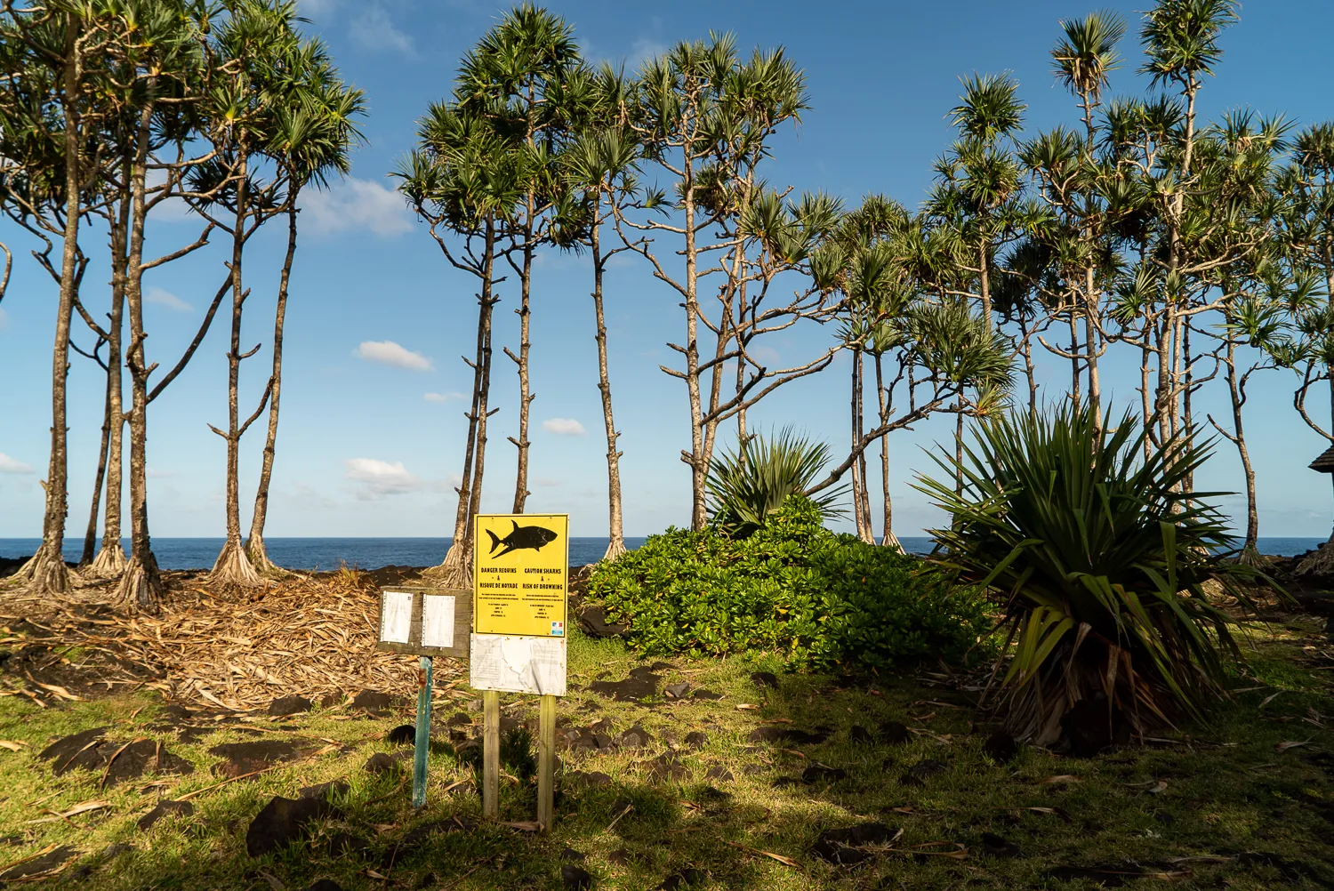 Schild mit Fischsymbol vor Palmen und Meer