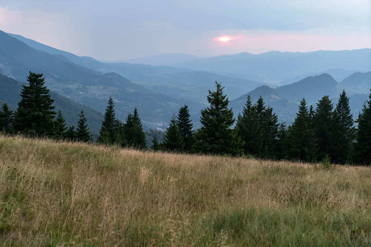 Sonnenuntergang über bewaldeten Bergen mit Grasland im Vordergrund