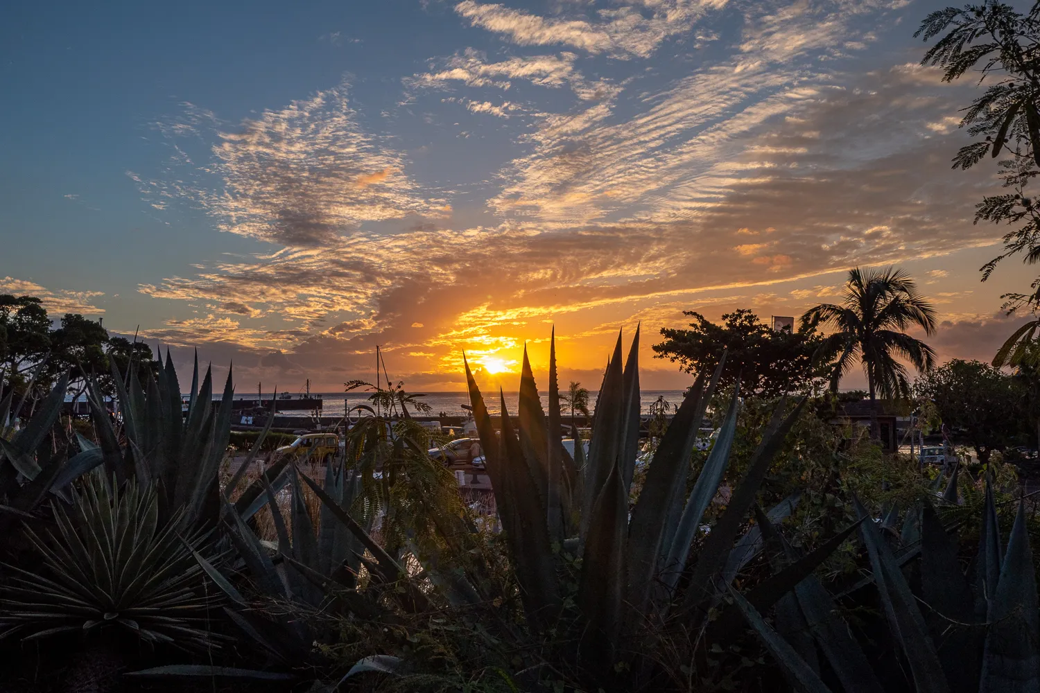 Sonnenuntergang am Strand mit Palmen und Agaven im Vordergrund