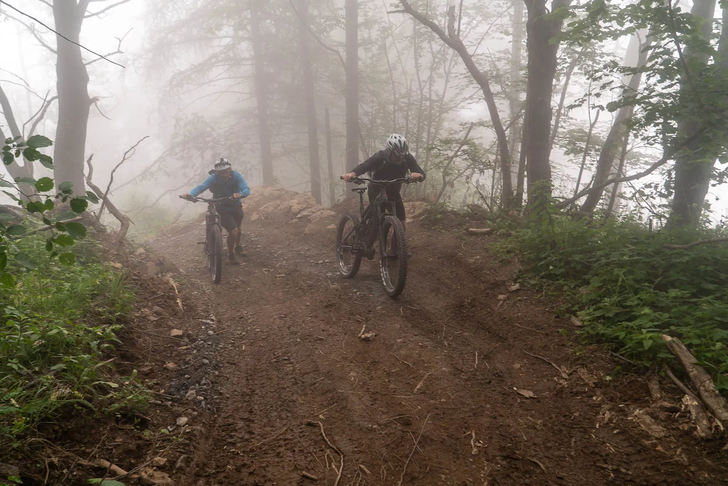 Zwei Mountainbiker fahren auf einer staubigen Waldstrecke im Nebel.