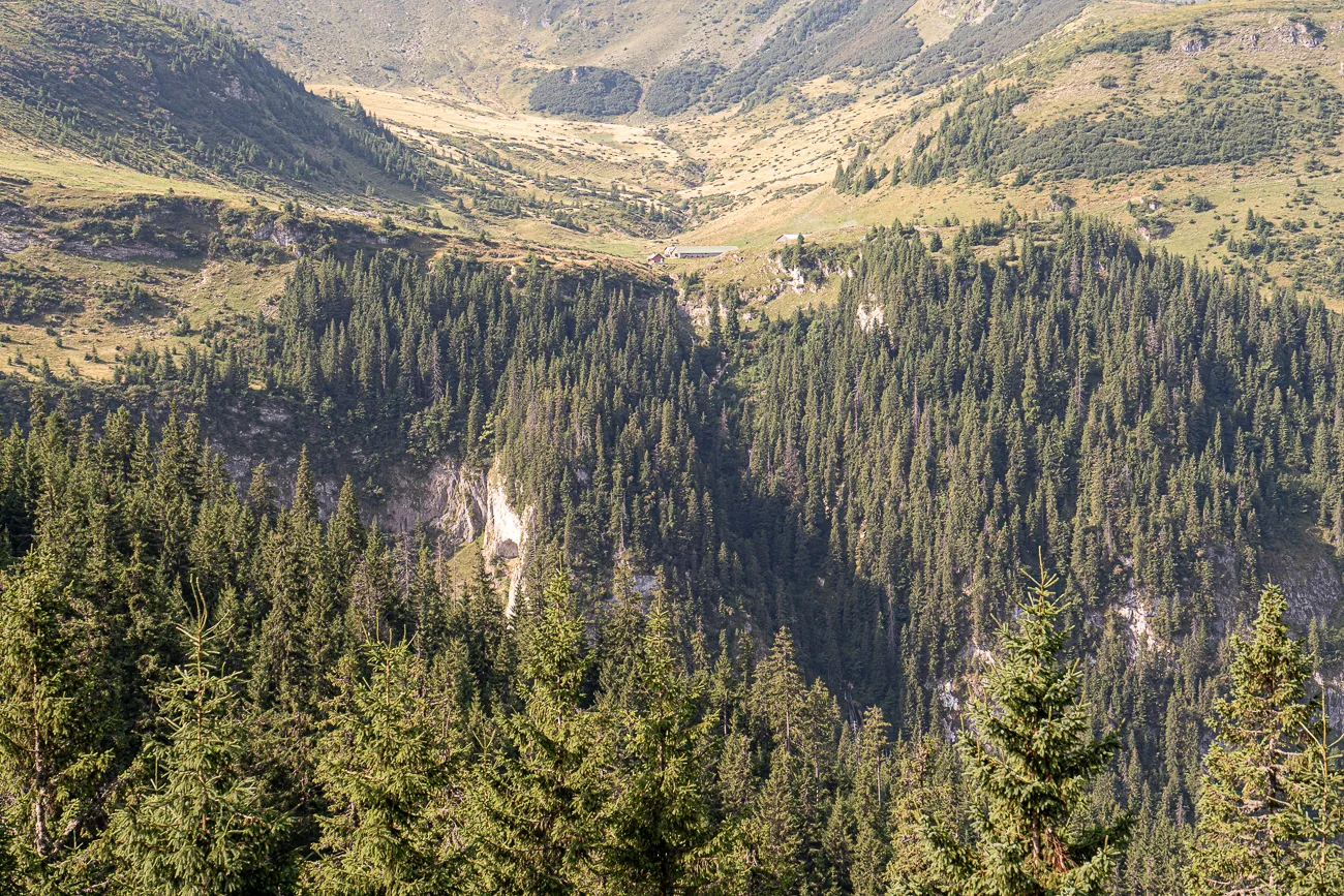 Berglandschaft mit dichten Nadelwäldern und steilen Hängen im Rodna-Gebirge