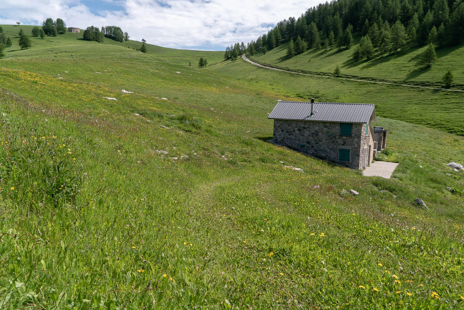 Steinhaus in grüner Wiese mit Waldhang im Hintergrund