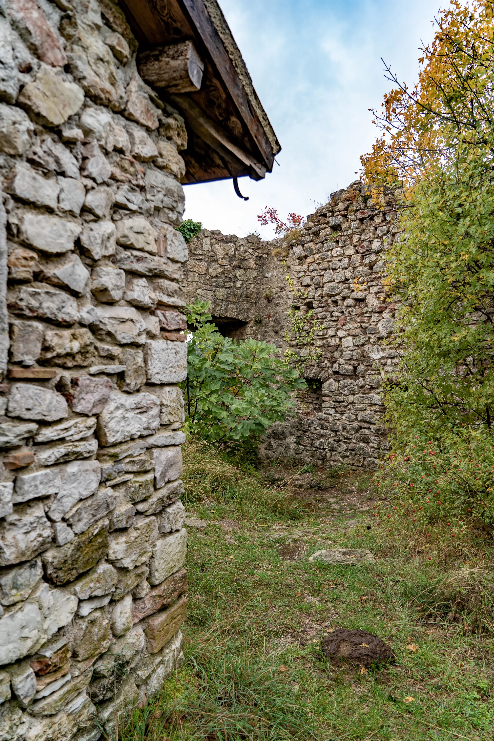 Steinmauer mit Holzverkleidung und Vegetation im Herbst