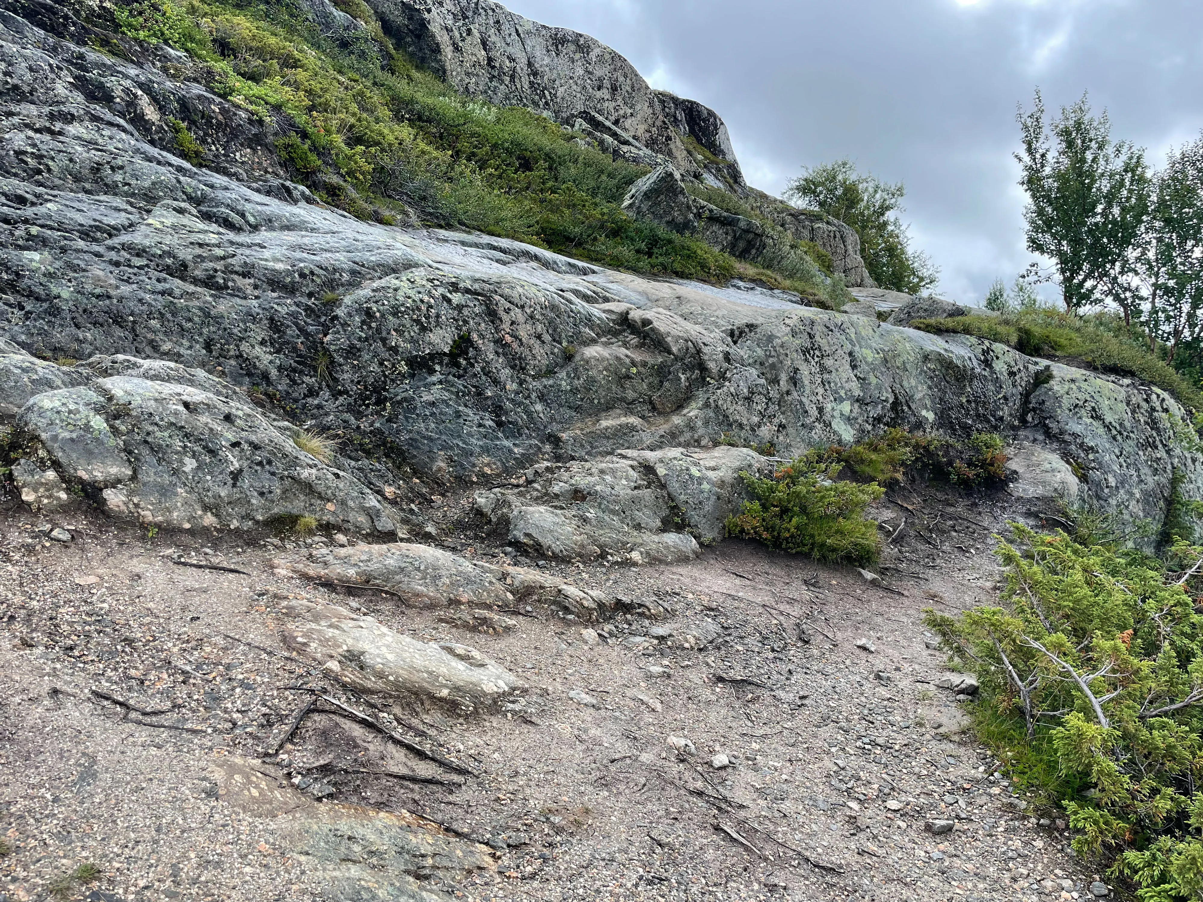 Steiniger Wanderweg durch bewaldetes Gebirge unter bewölktem Himmel