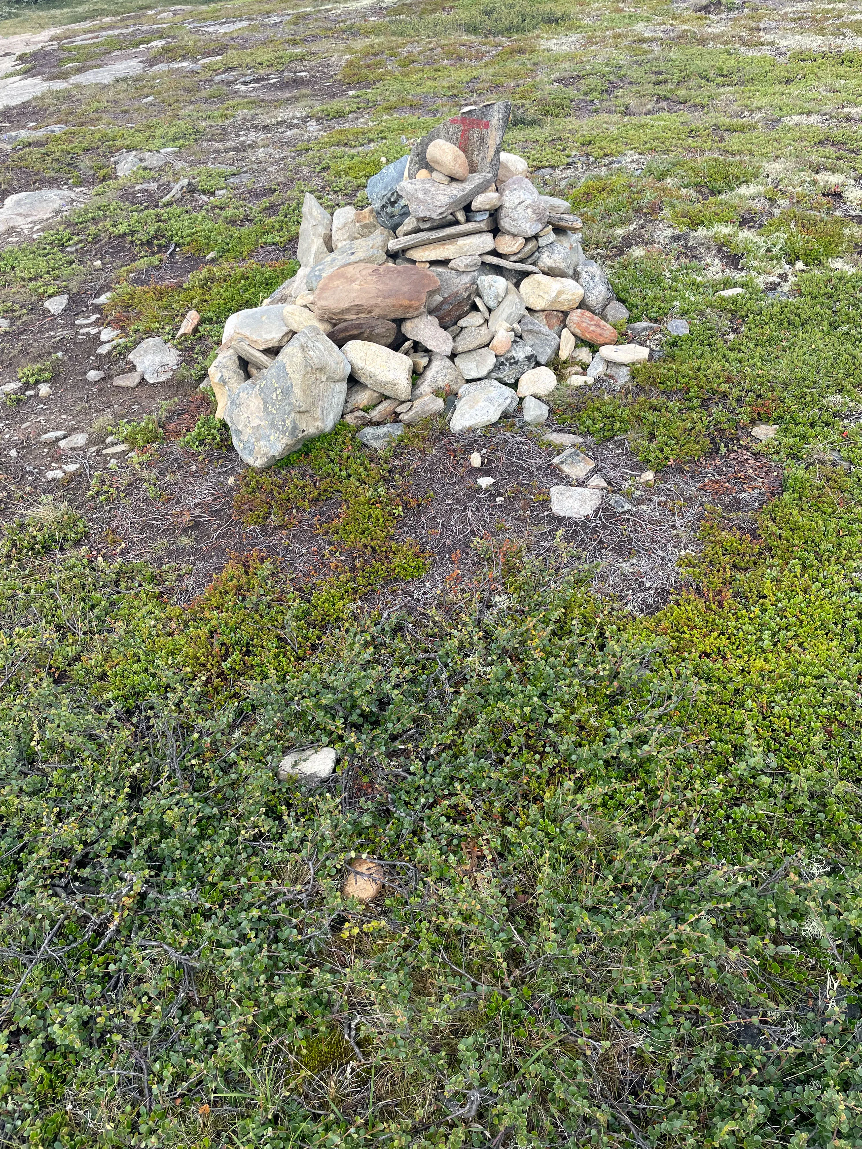 Steinpyramide auf grünem Moos und Felsen