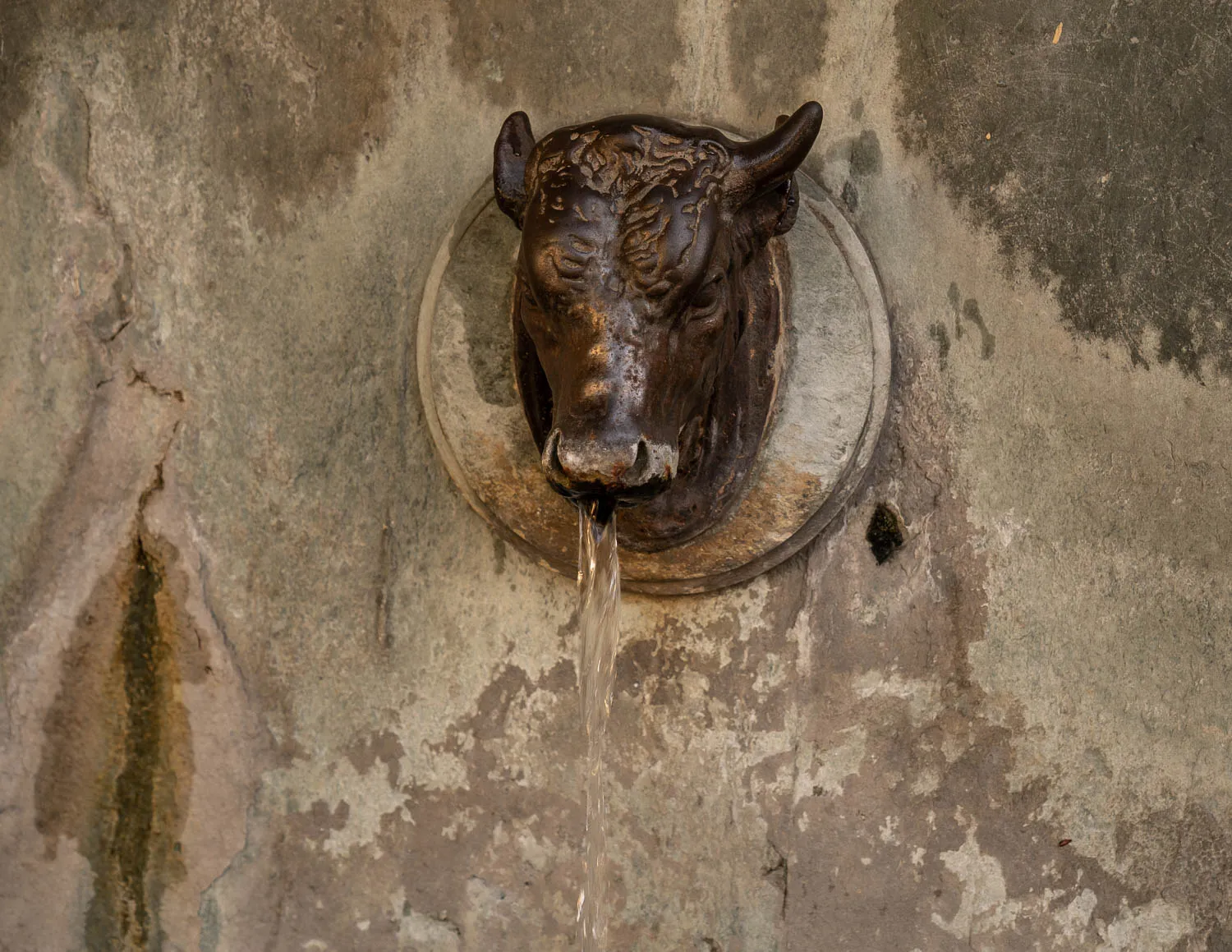 Bronzefigur eines Stiers, aus dessen Maul Wasser fließt, an einer alten Steinwand.