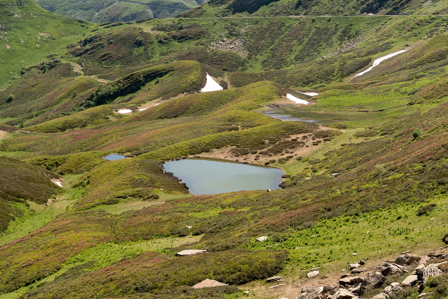 grüne berglandschaft mit teichen und schneeresten